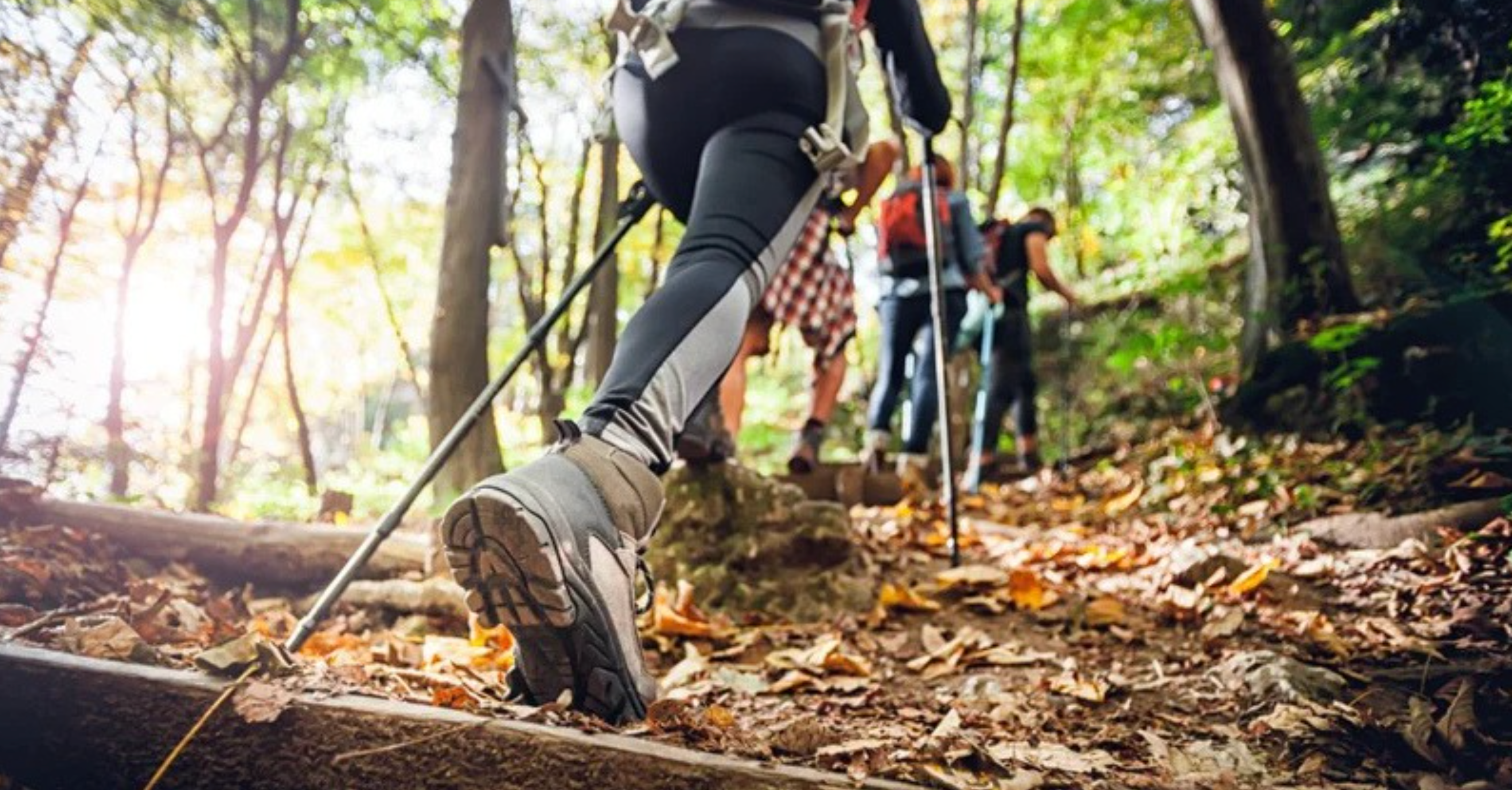Avoiding the Most Common Causes of Hiking Injury