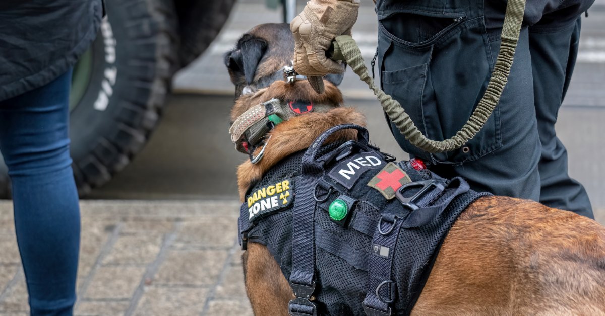 A working dog wears a black medical tactical harness while a handler holds its leash near an emergency vehicle.