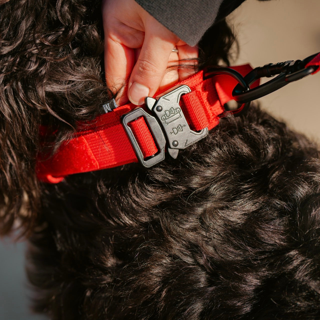Tactical Nylon Dog Collar Elite Red