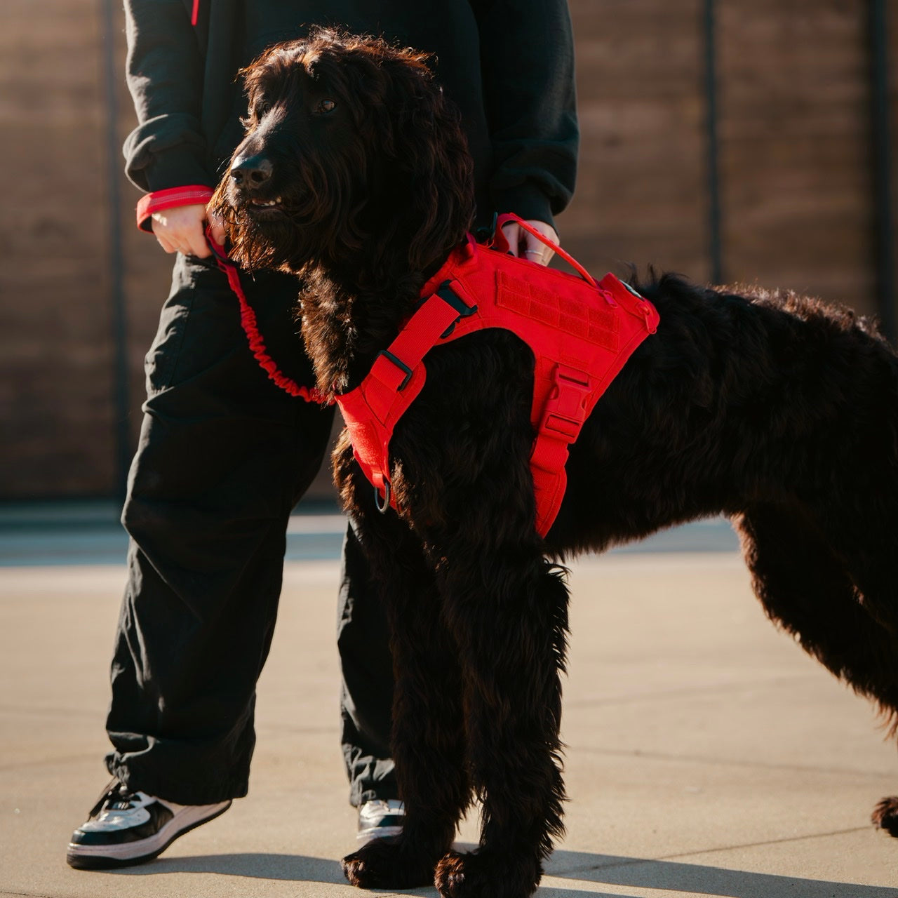 Elite Red Tactical Dog Vest Harness