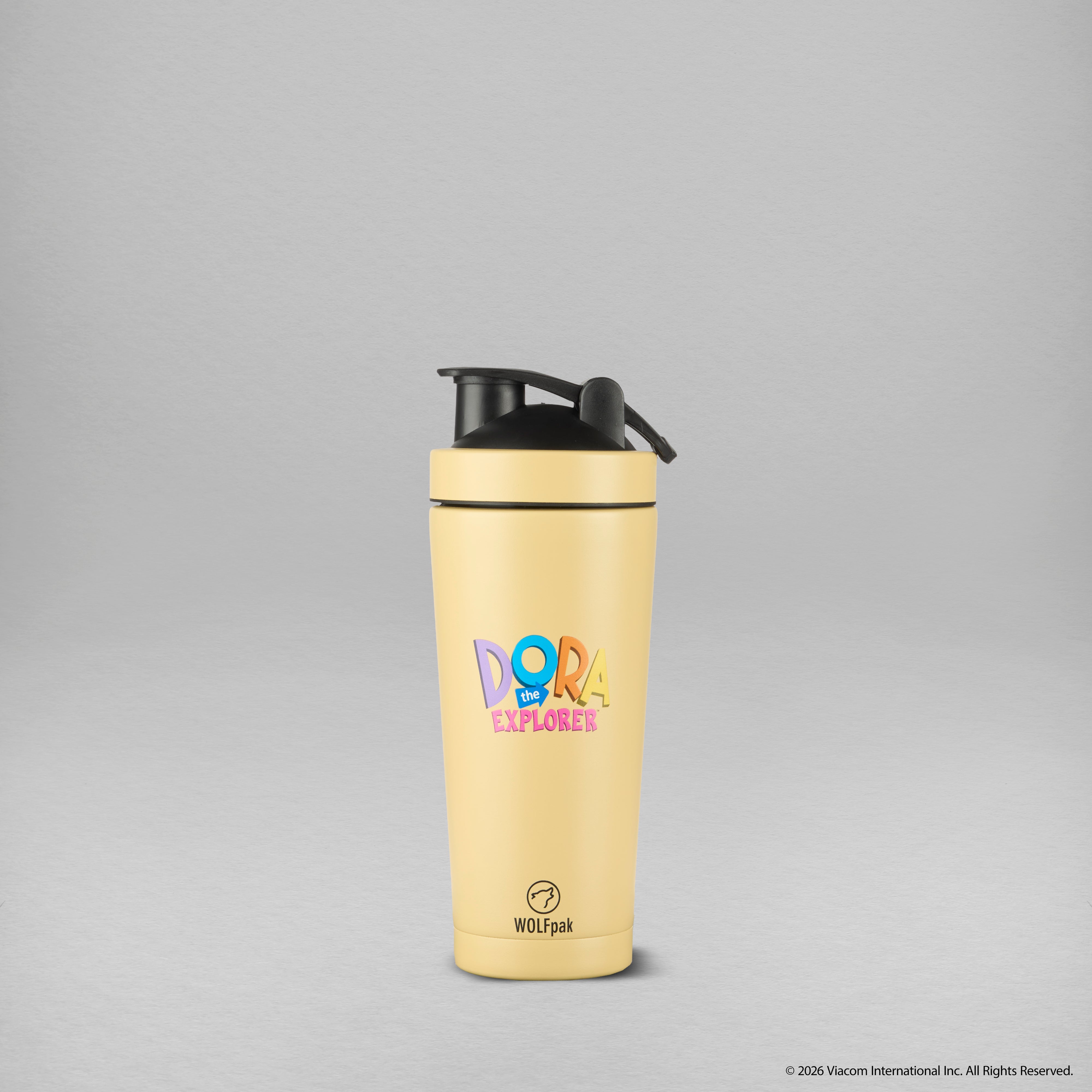 Dora Map Shaker PREVIEW