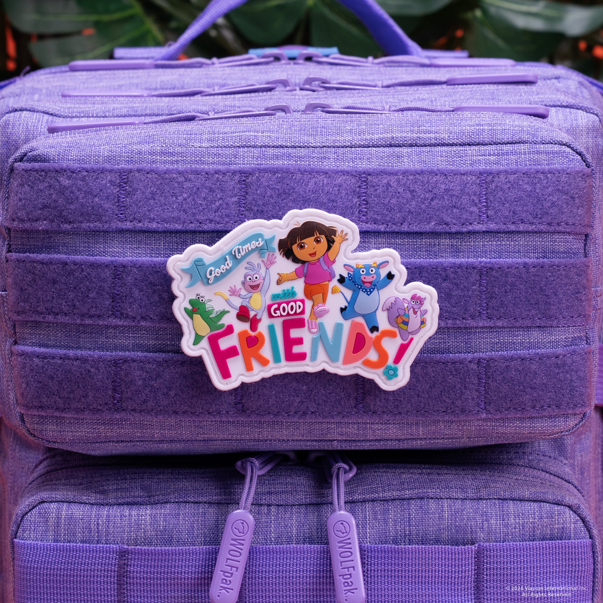 Dora Friends Patch PREVIEW