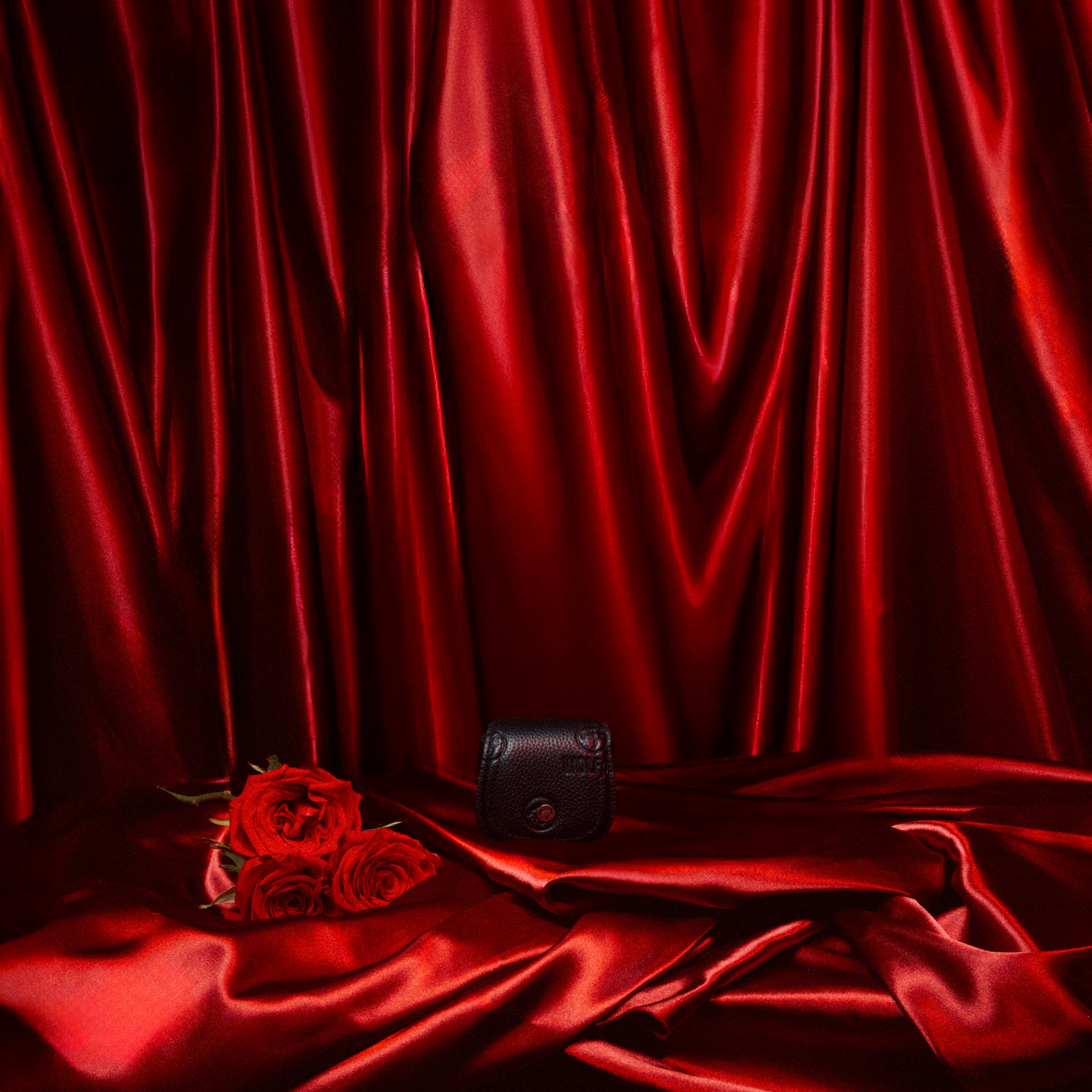 Luxury Leather Purse & Pouch Bundle