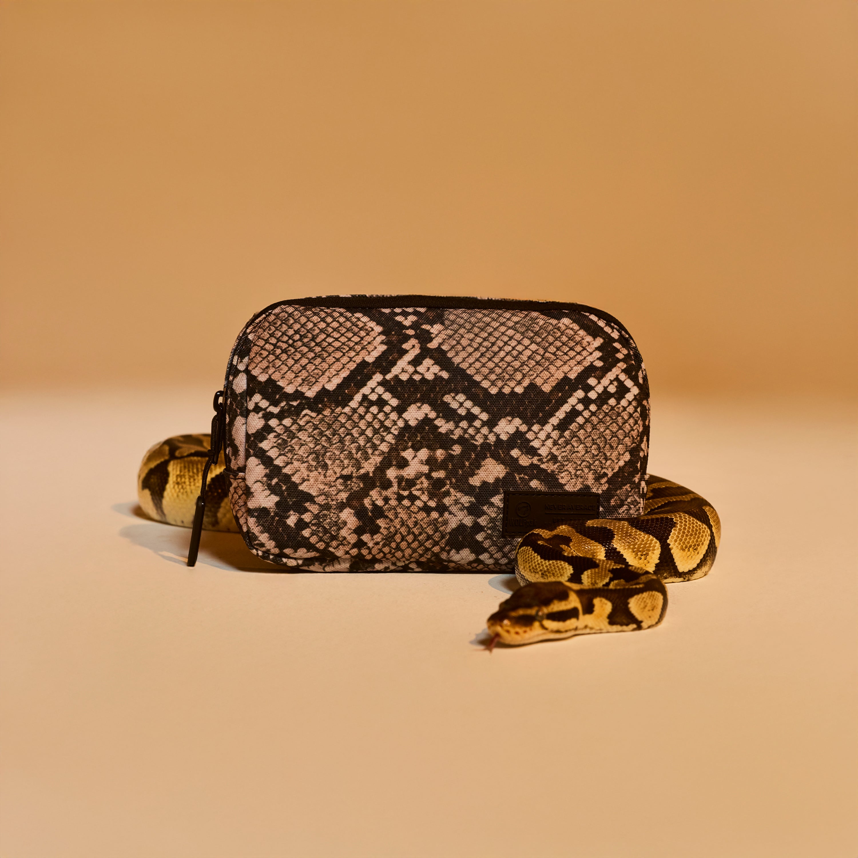 ๐ Crossbody Pack Python (100% off)