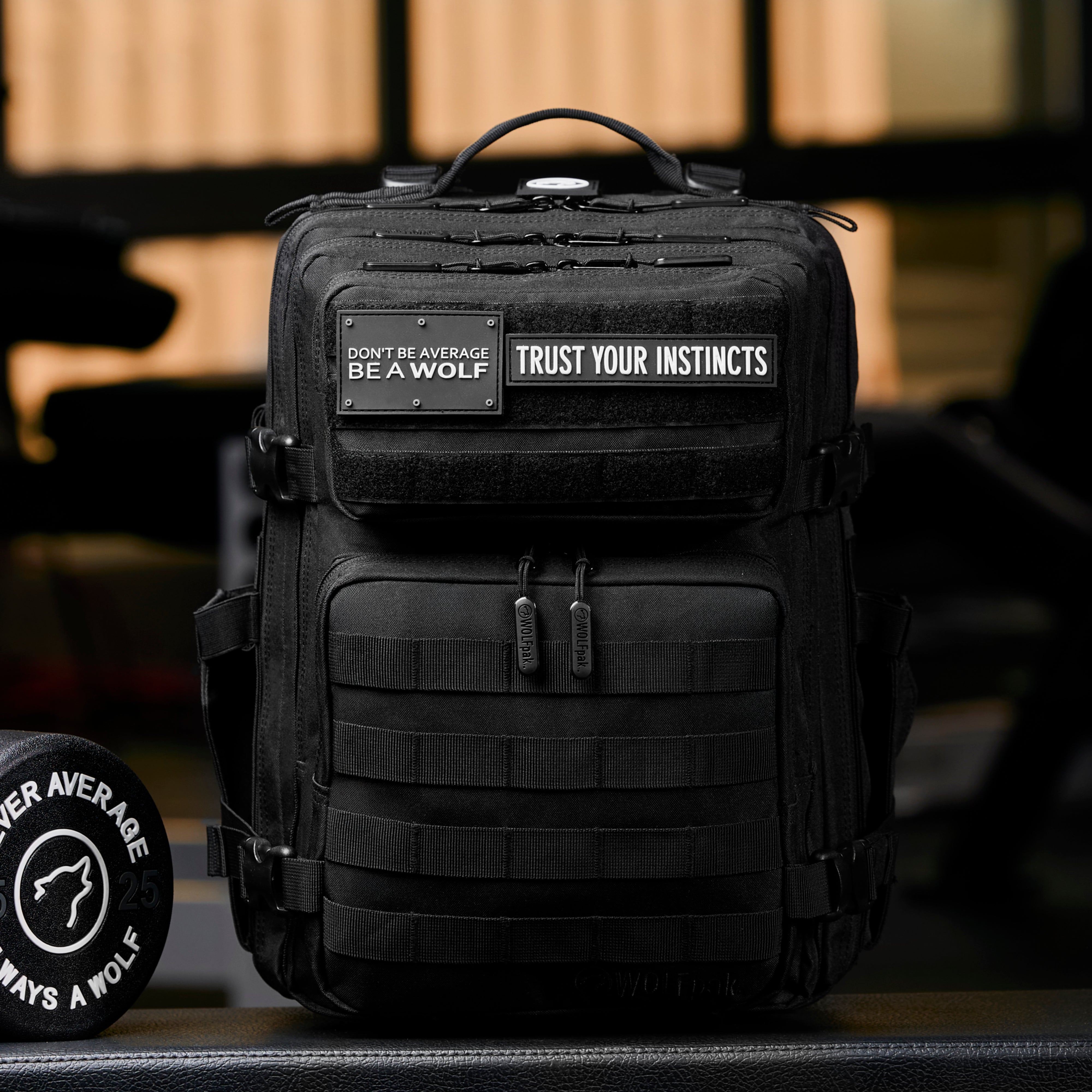 25L Rucksack Alpha Schwarz