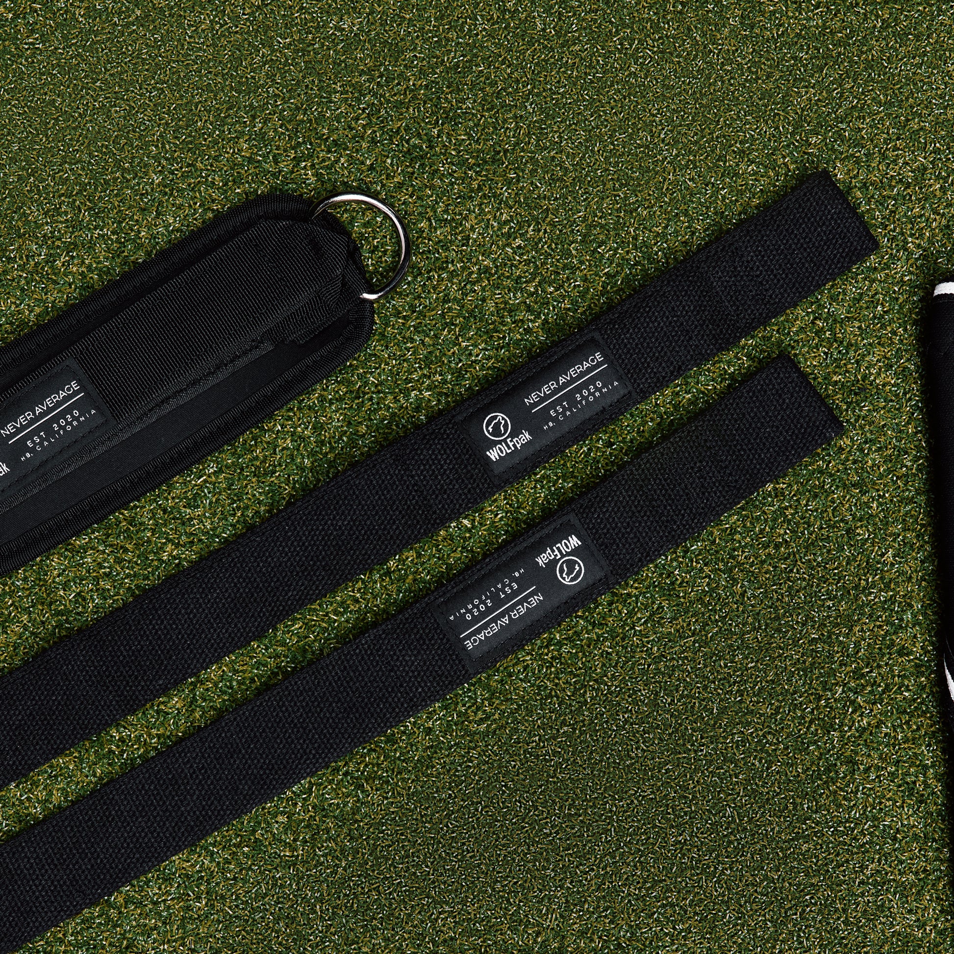 Training Essentials Bundle