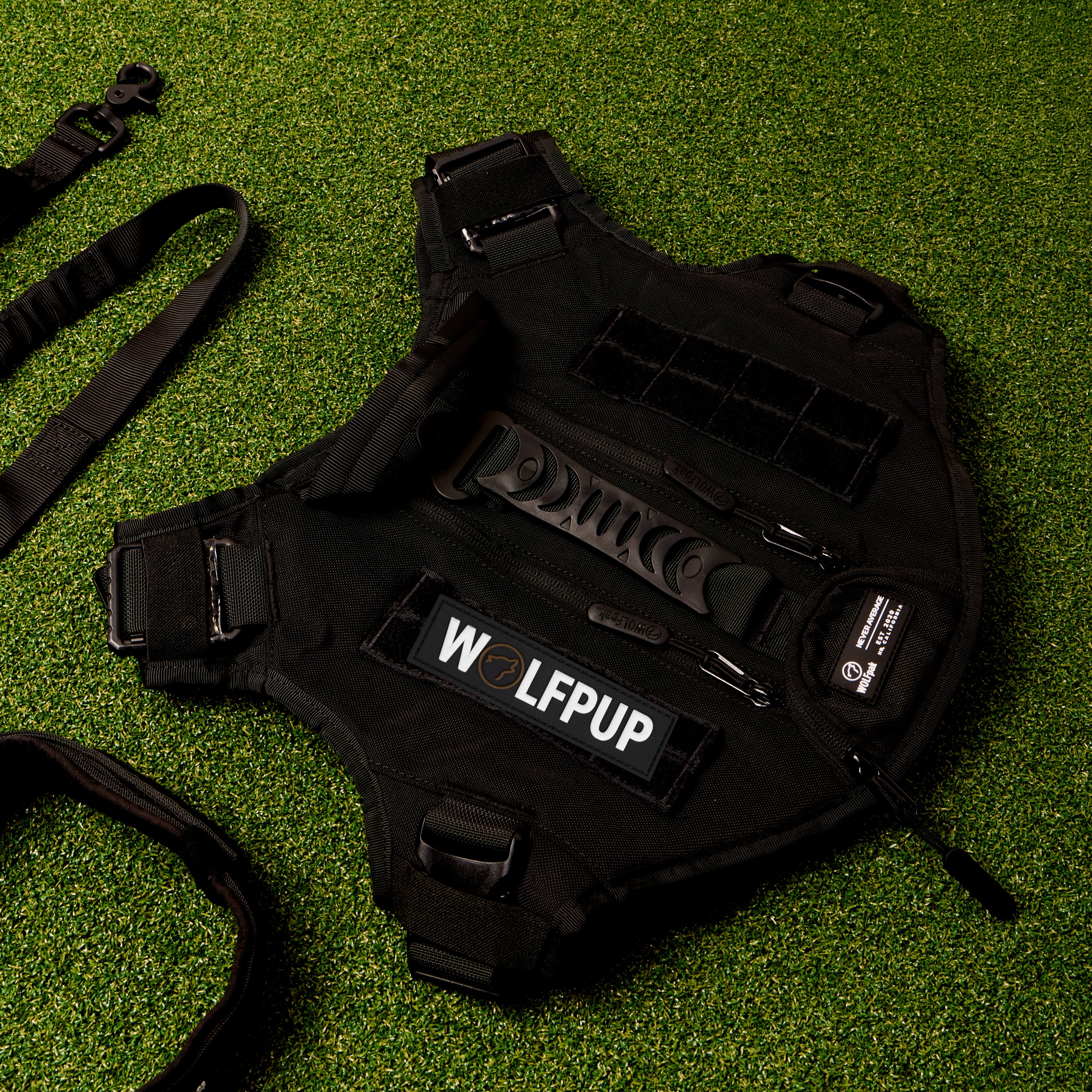 WOLFpup Bundle Black