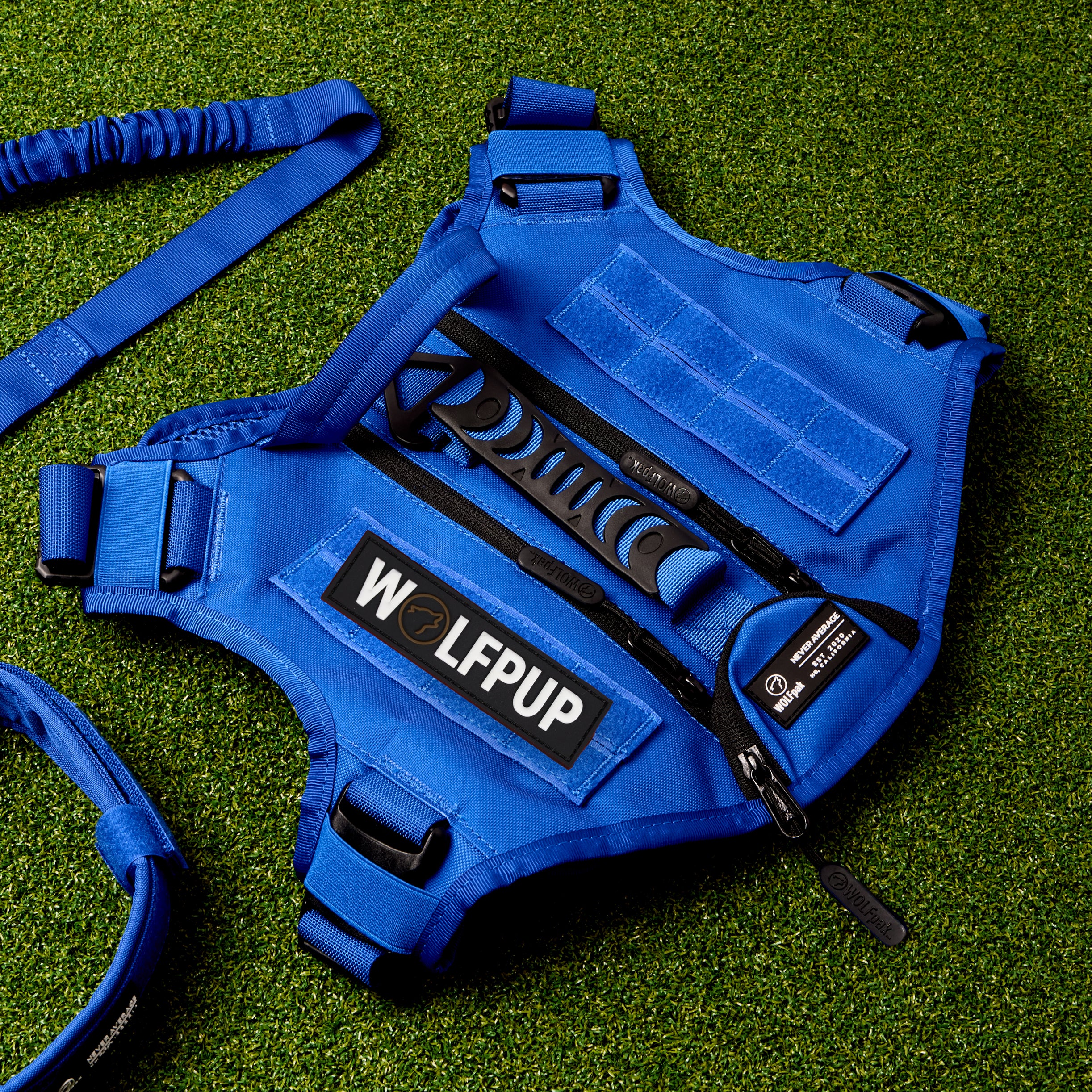 WOLFpup Bundle Blue