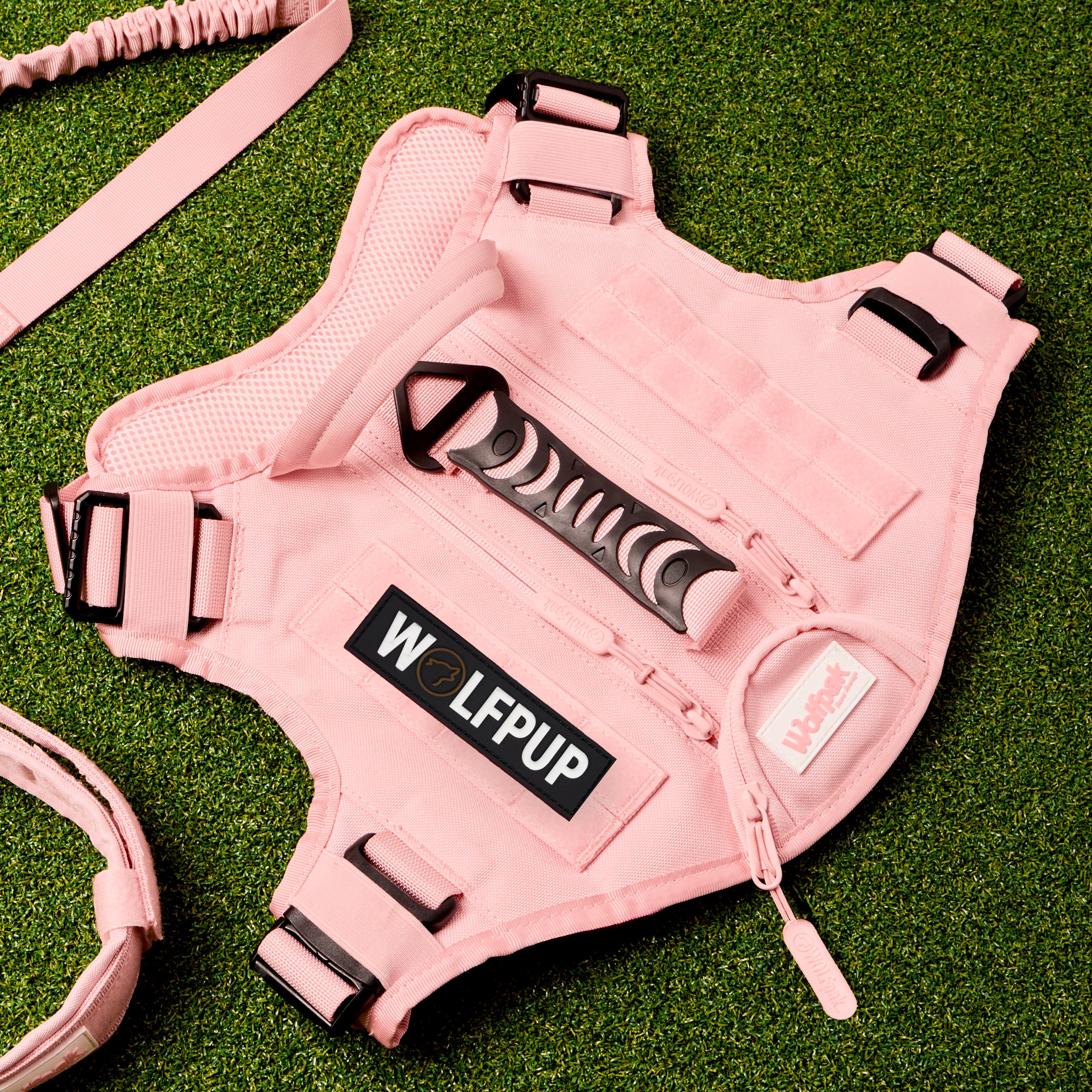 WOLFpup Bundle Dream Pink