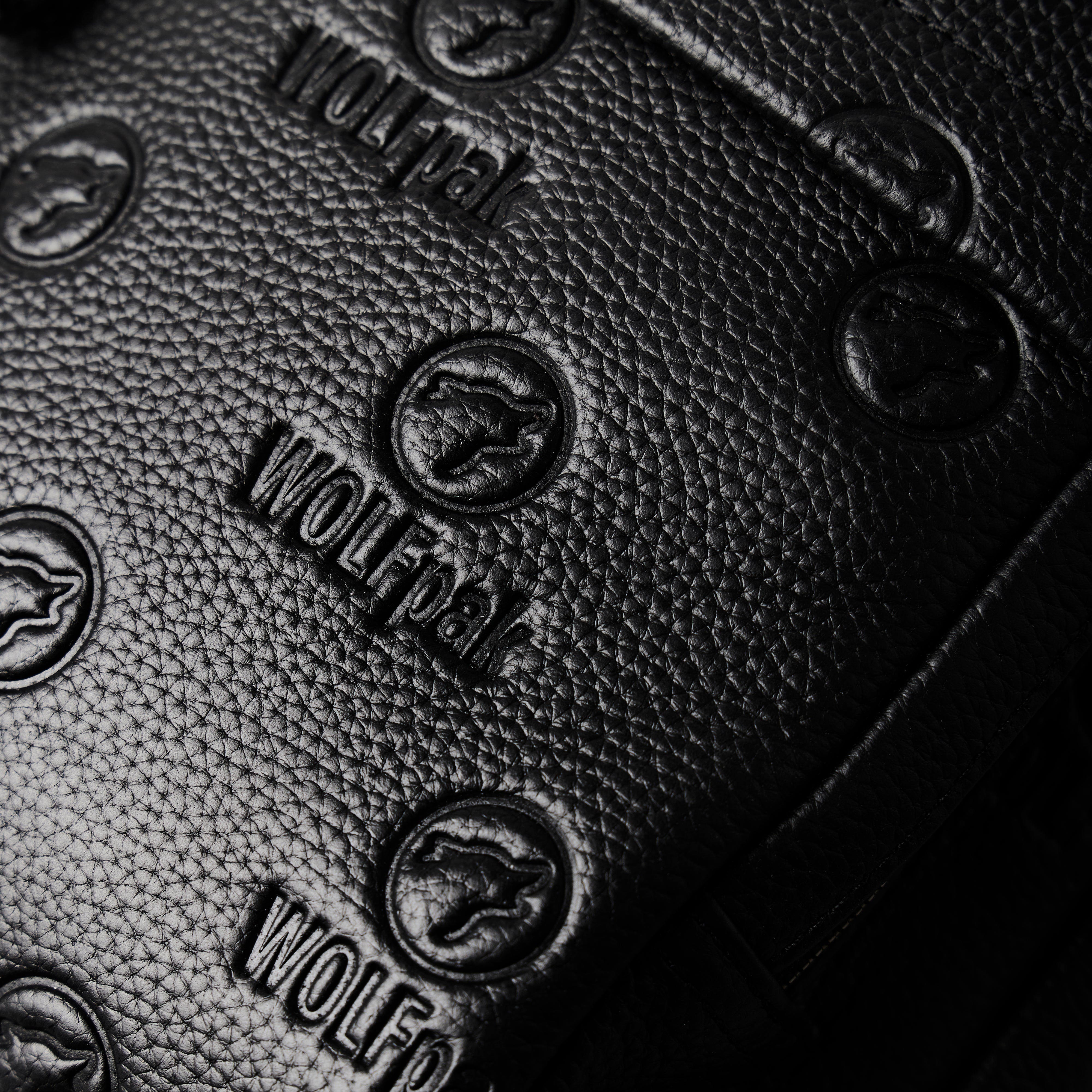 Luxury Leather 4L Mini Sling Bag