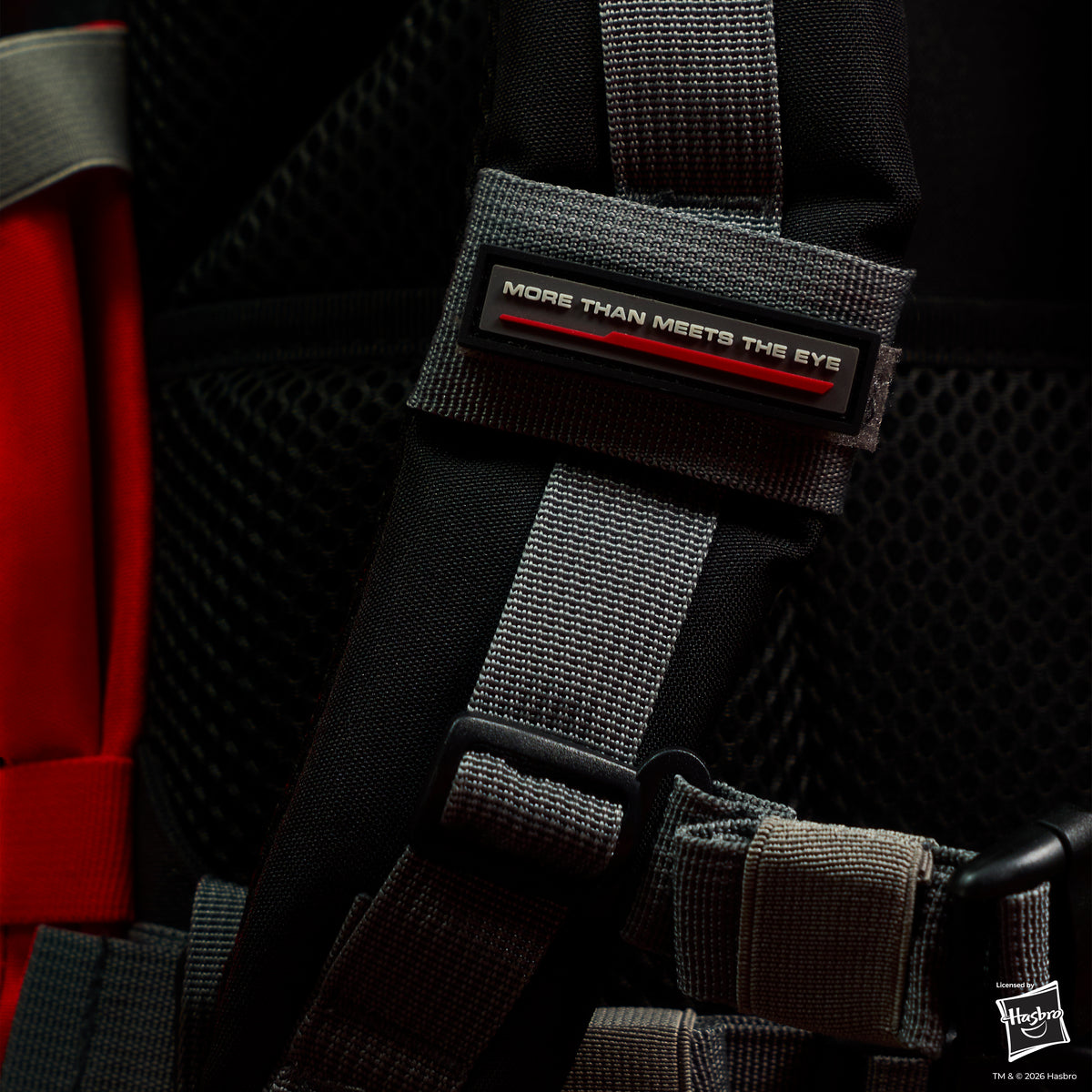 35L Backpack Transformers Megatron