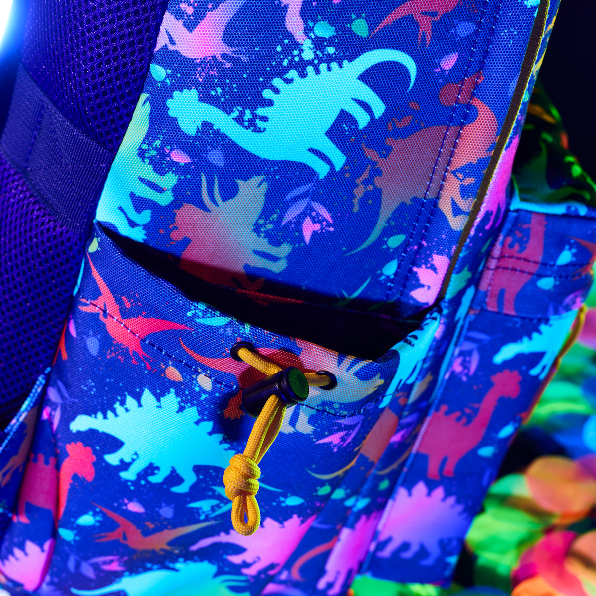 25L Everyday Backpack Neon Dino
