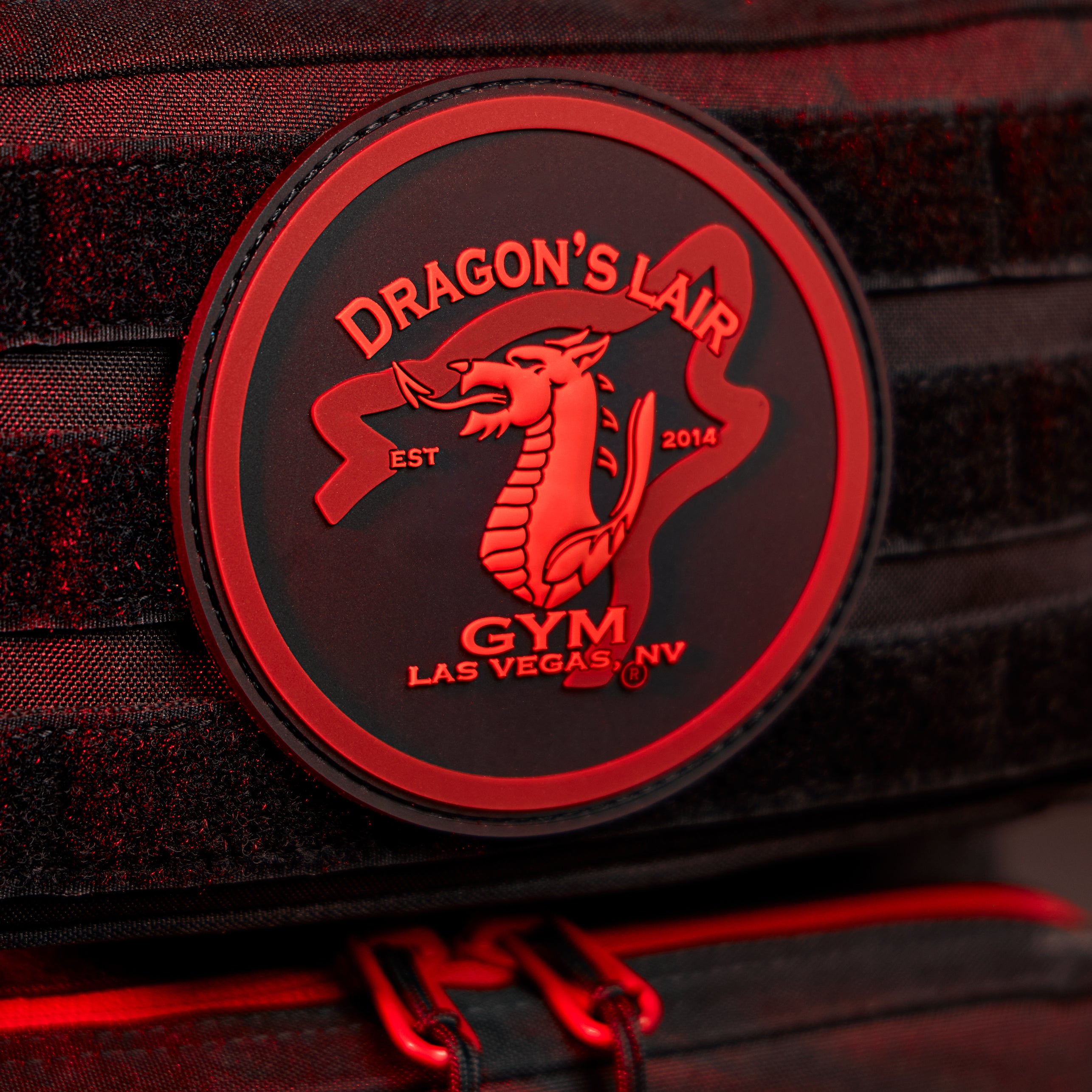 25L Backpack Dragon's Lair