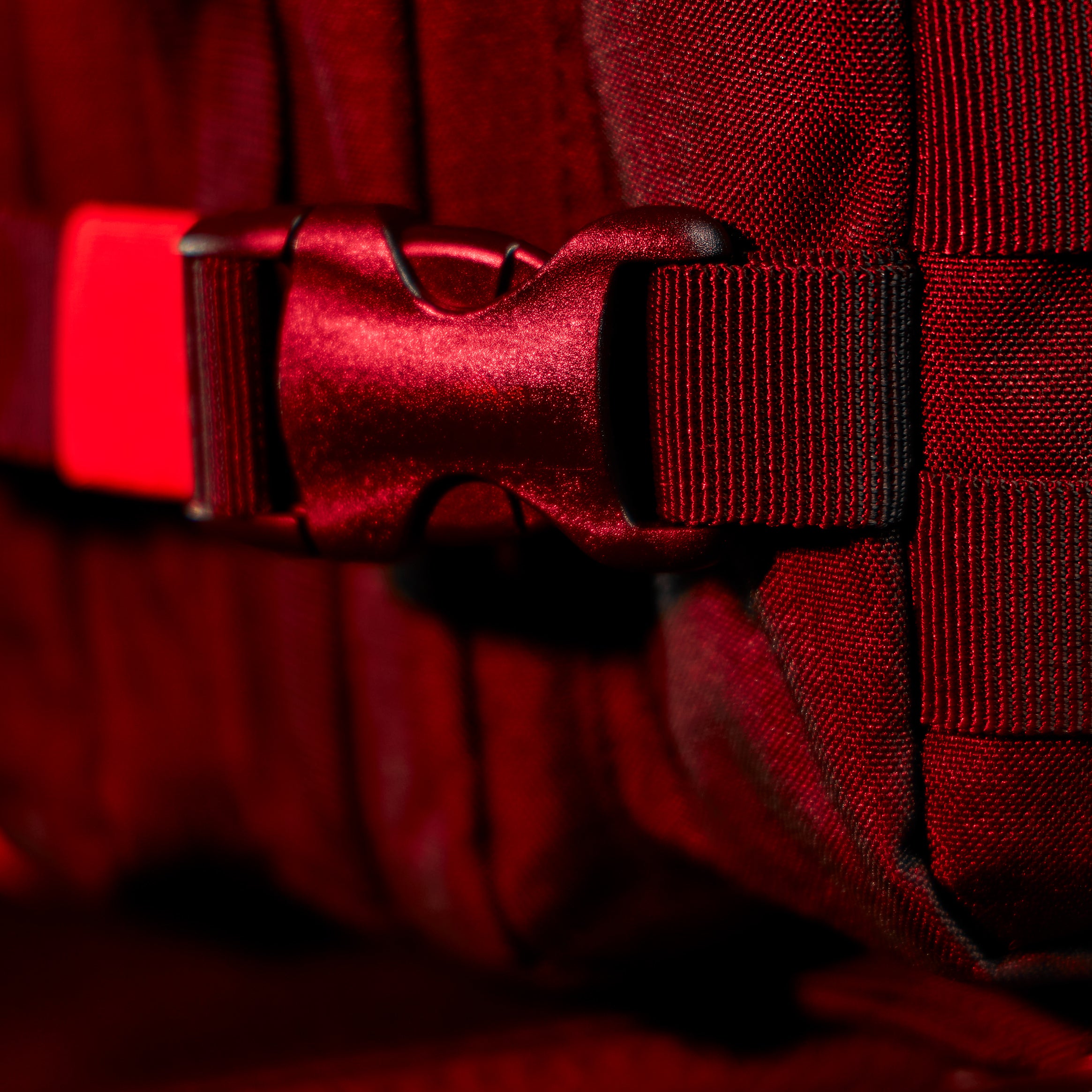 35L Backpack Dragon's Lair