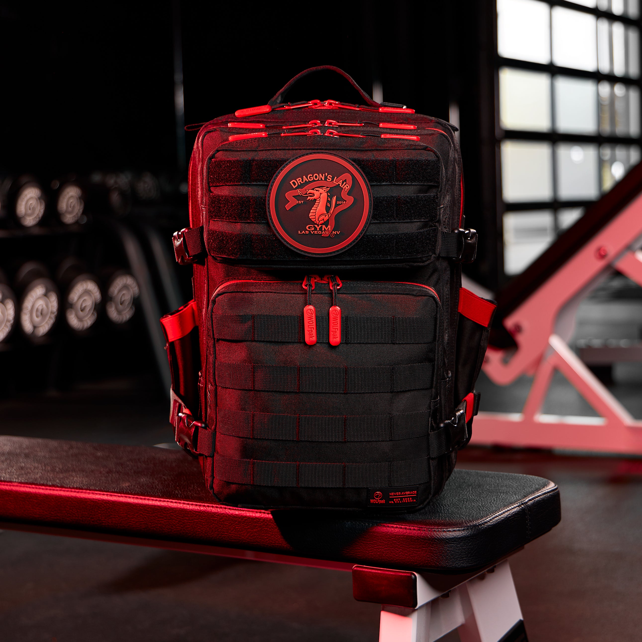 35L Backpack Dragon's Lair