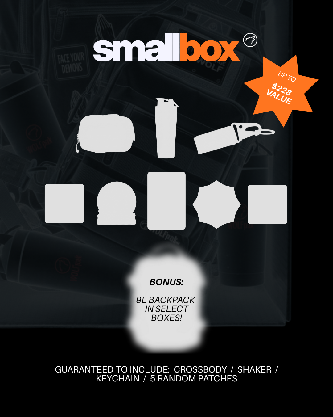 $75 Holiday Mystery Box