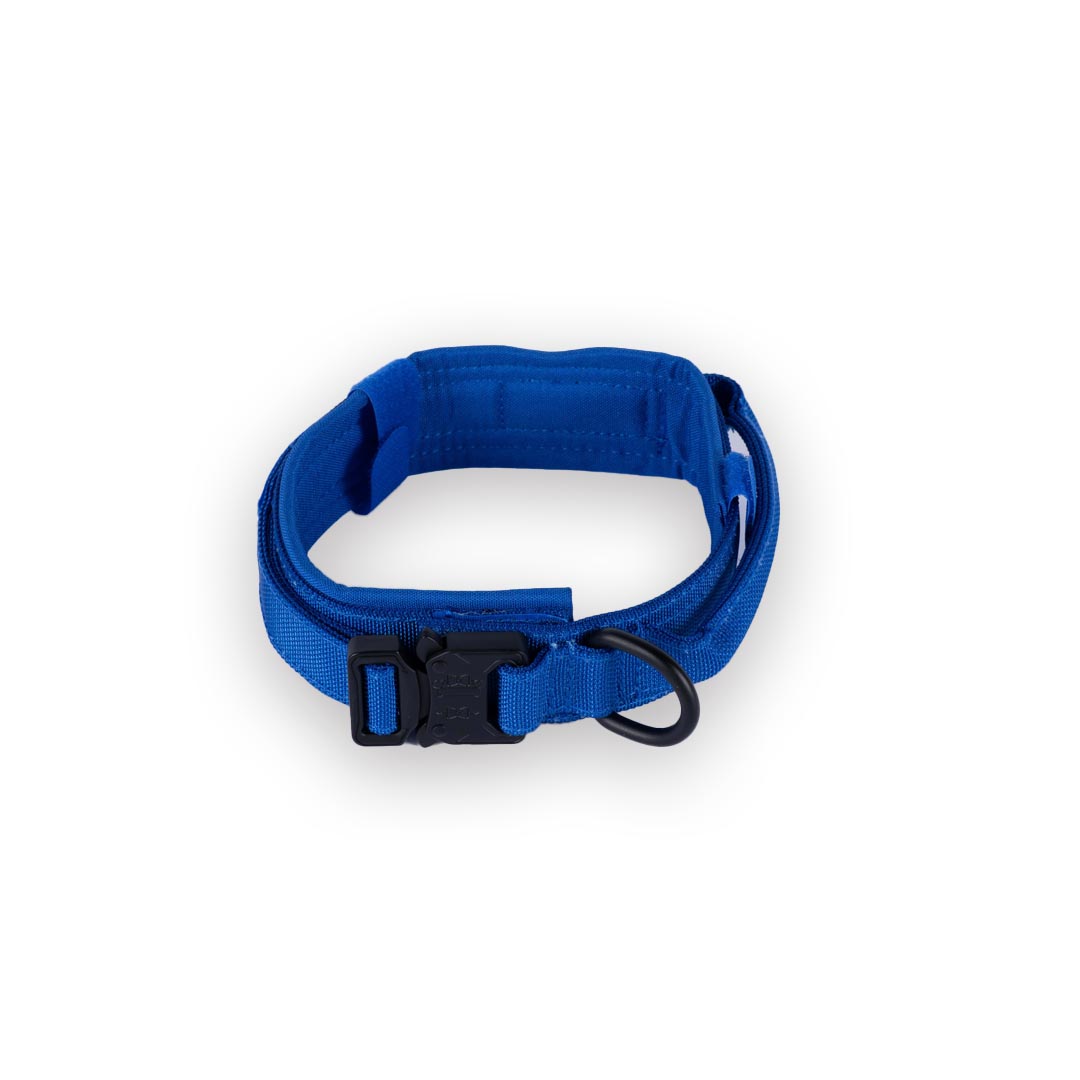 Tactical Nylon Dog Collar Blue