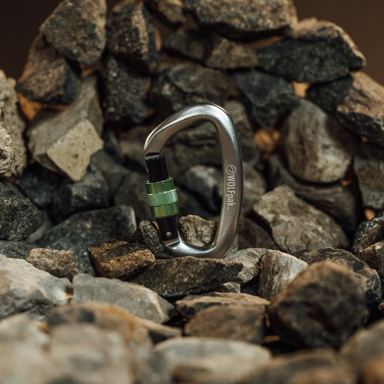 Accessoire Mousqueton Argent & Vert