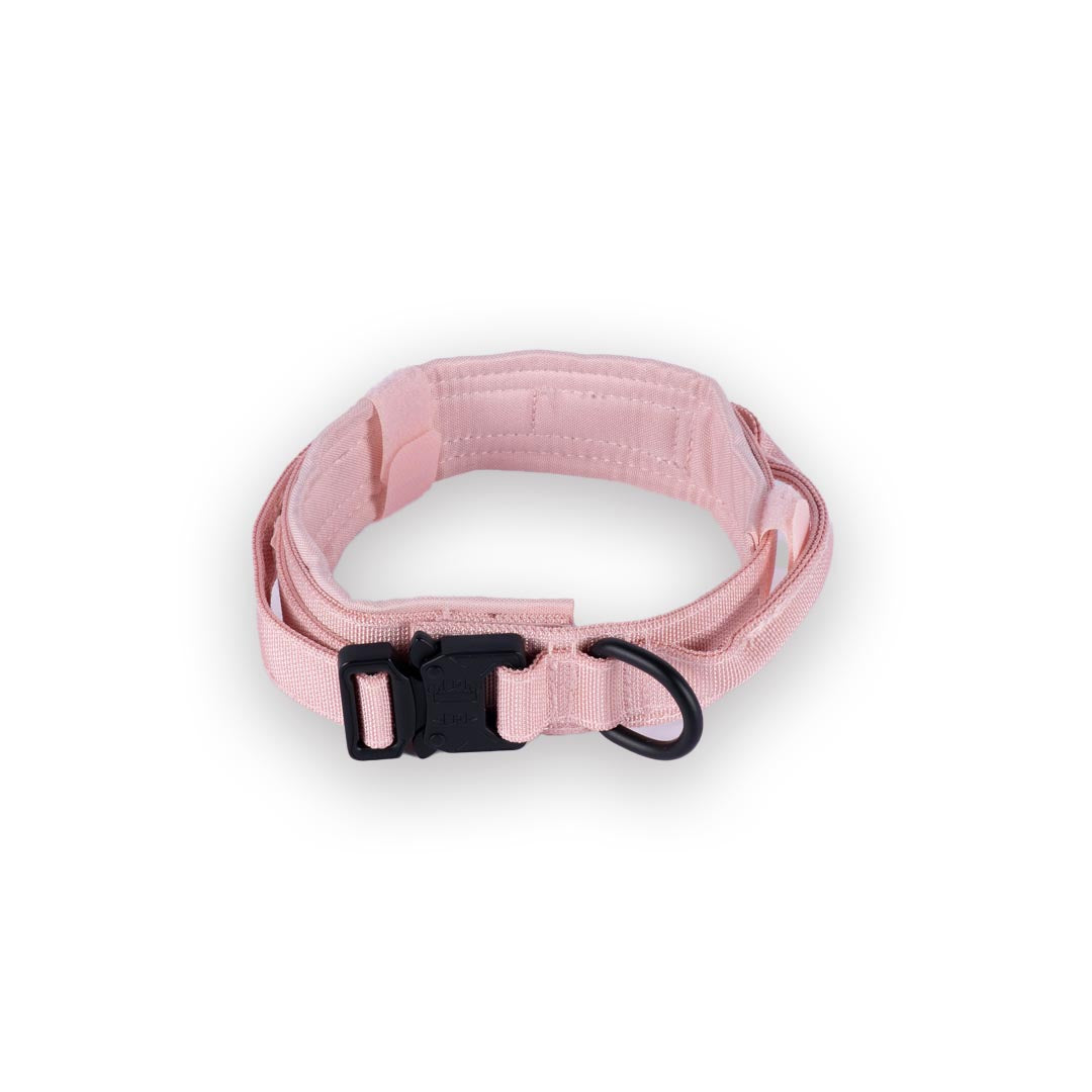 Tactical Nylon Dog Collar Dream Pink