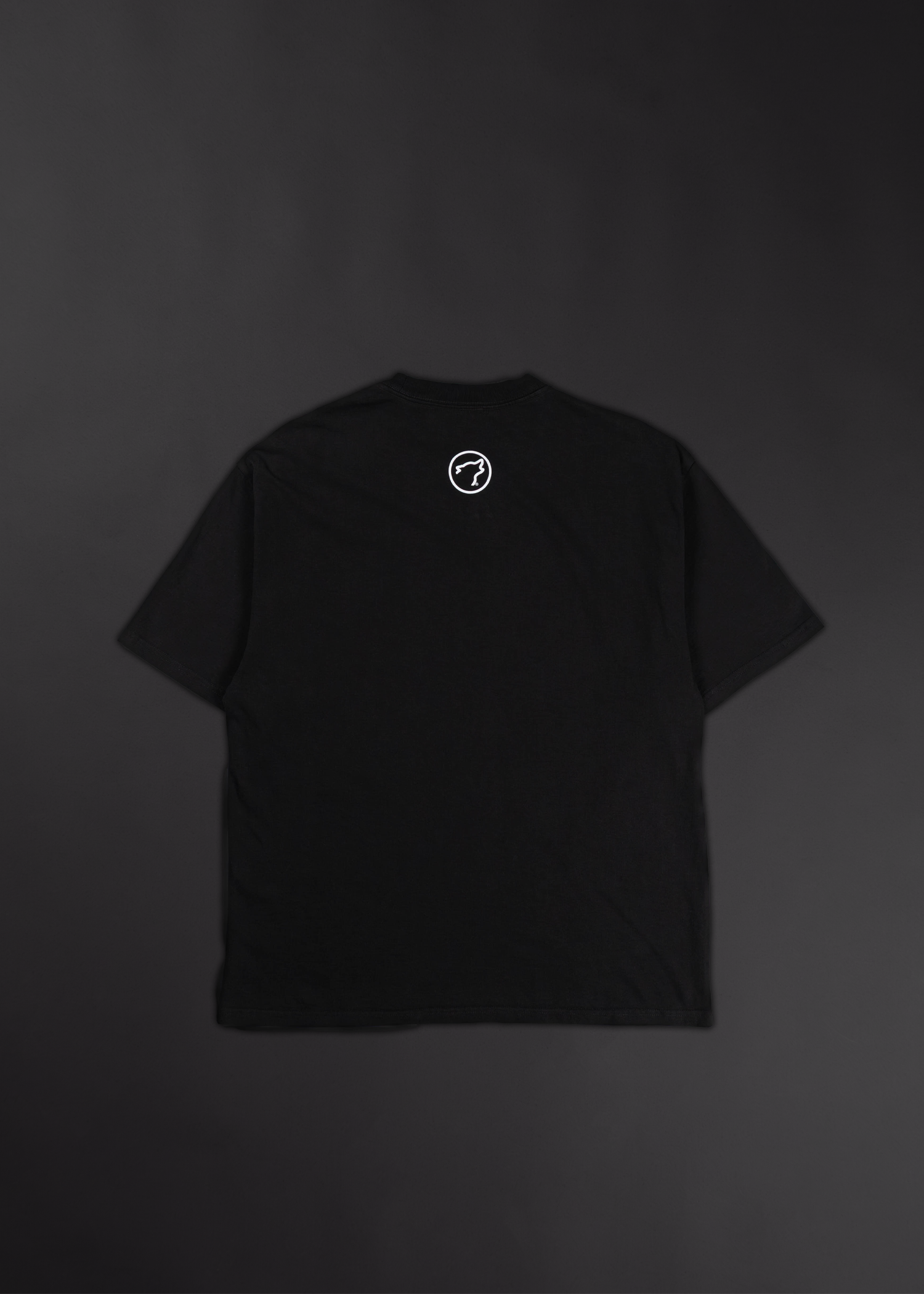 Eternal Bloom Graphic T-Shirt Bundle White