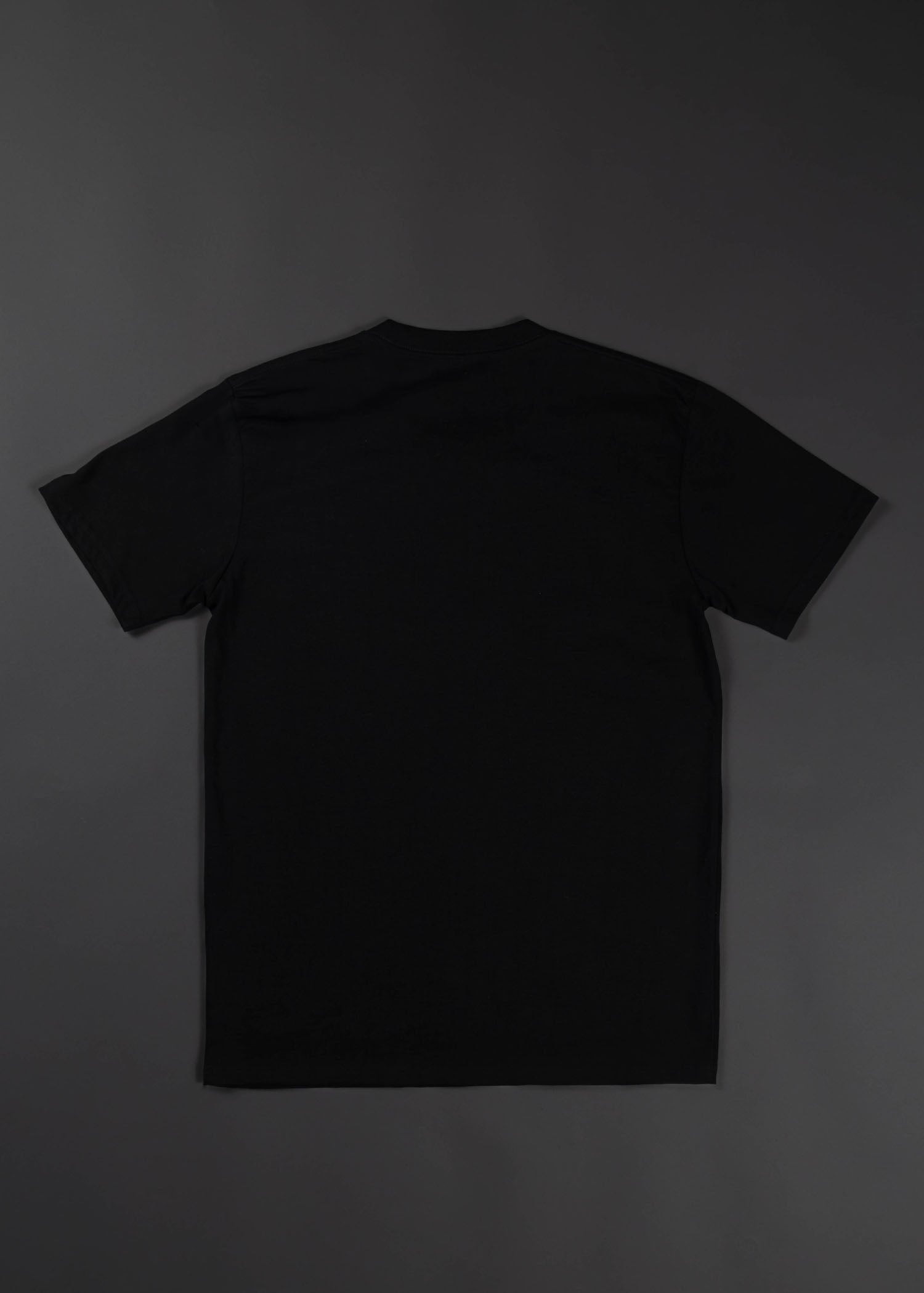 Apocalypse From The Ashes Graphic T-Shirt