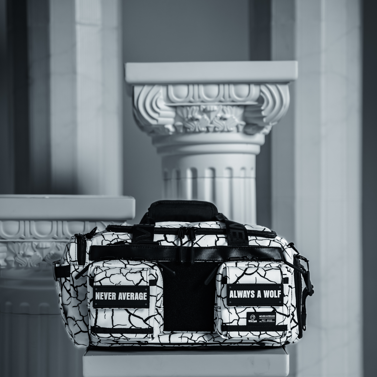 Mini sac de sport 20L Partie 2 : Le règne