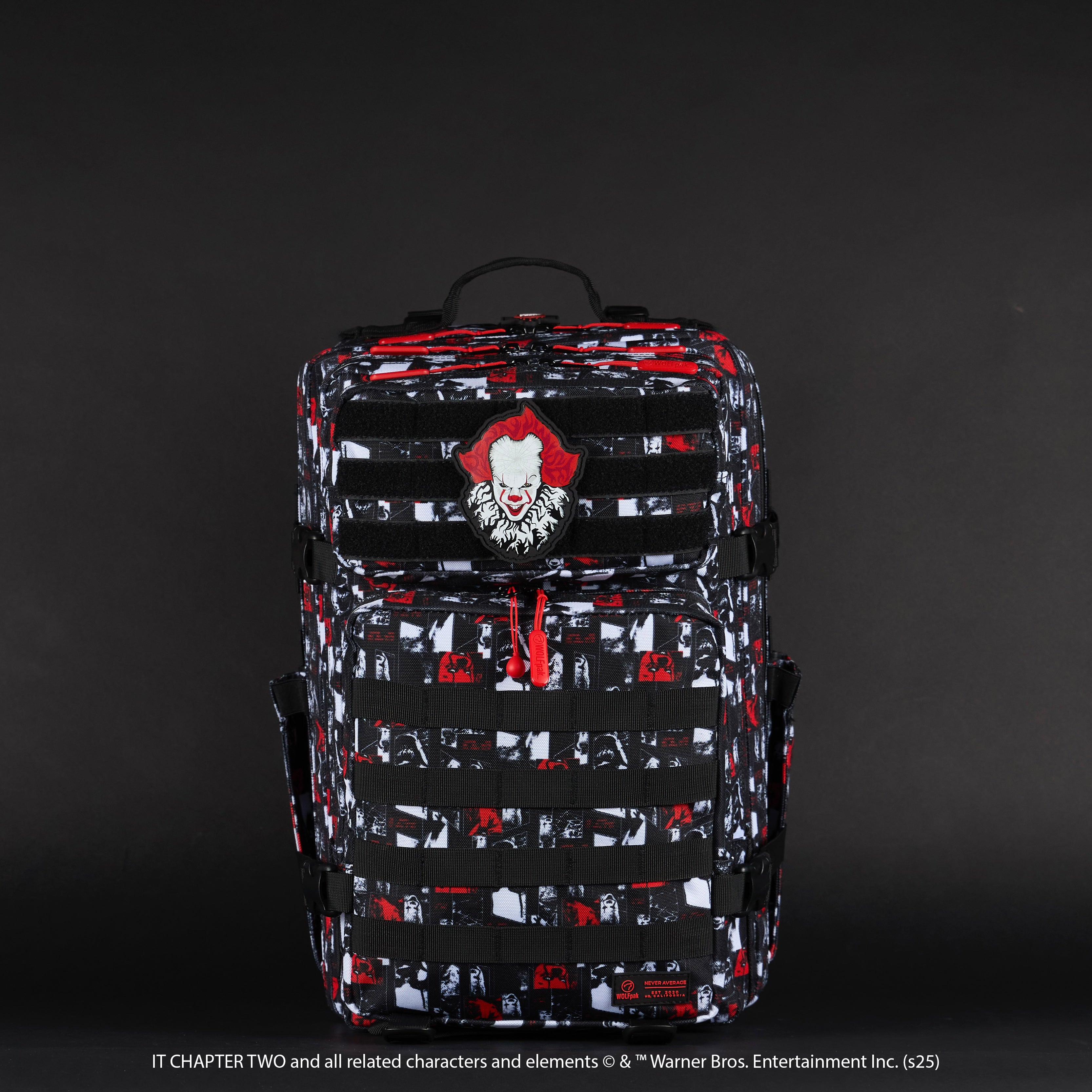 45L Backpack IT Chapter 2
