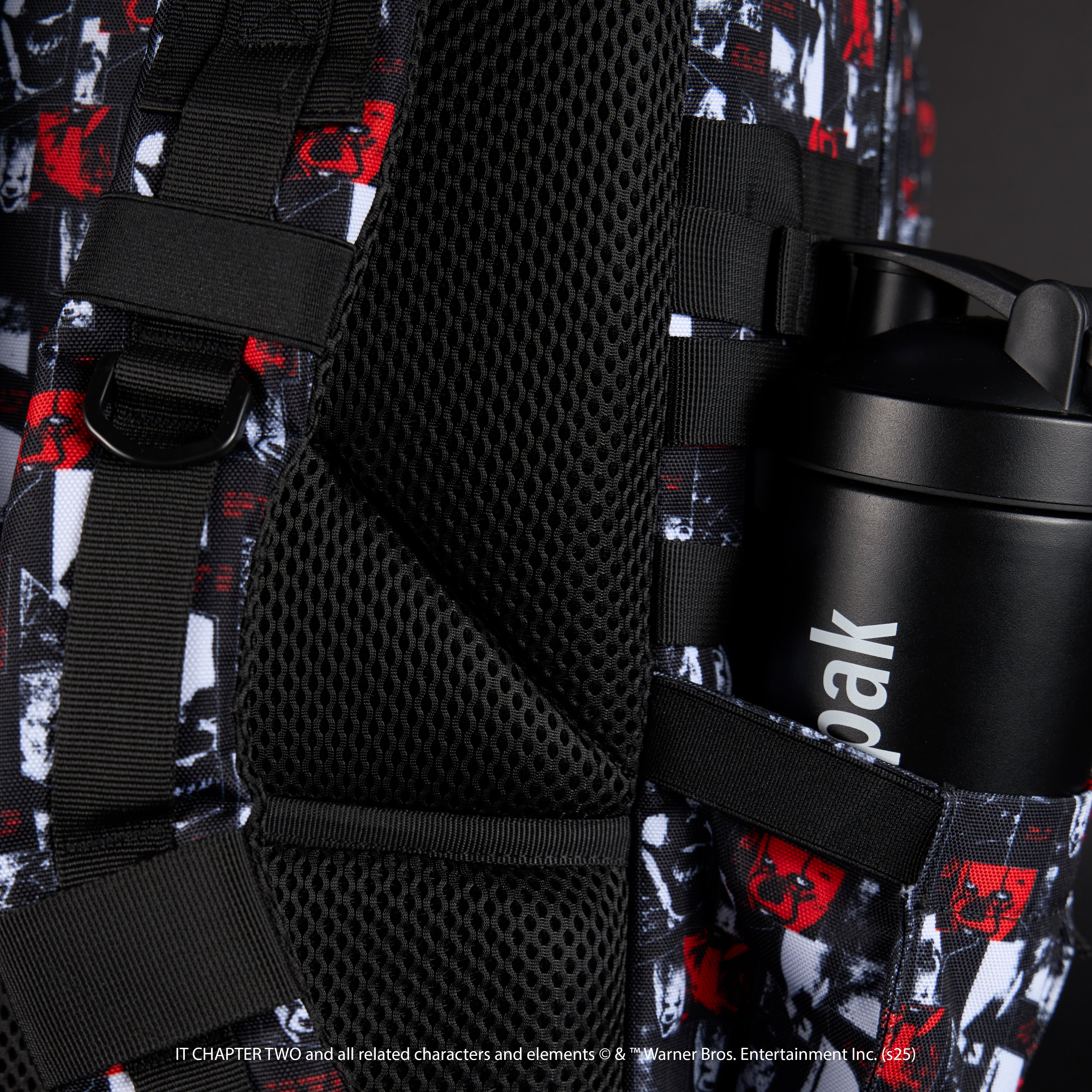 45L Backpack IT Chapter 2