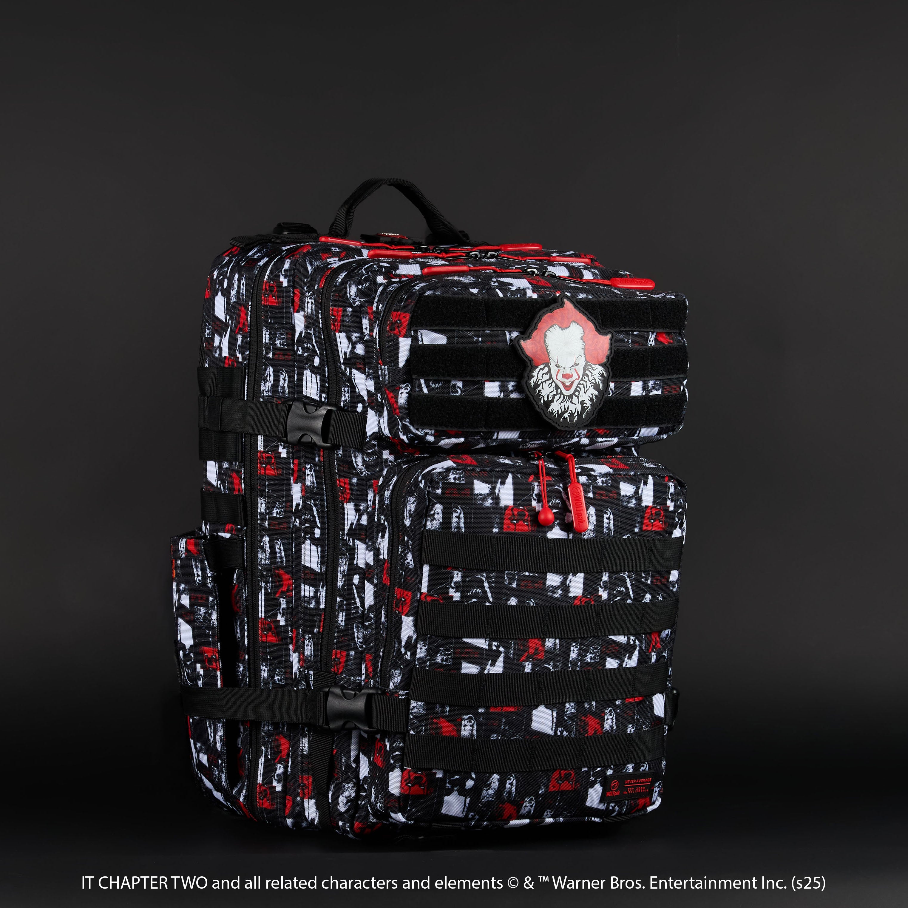 45L Backpack IT Chapter 2