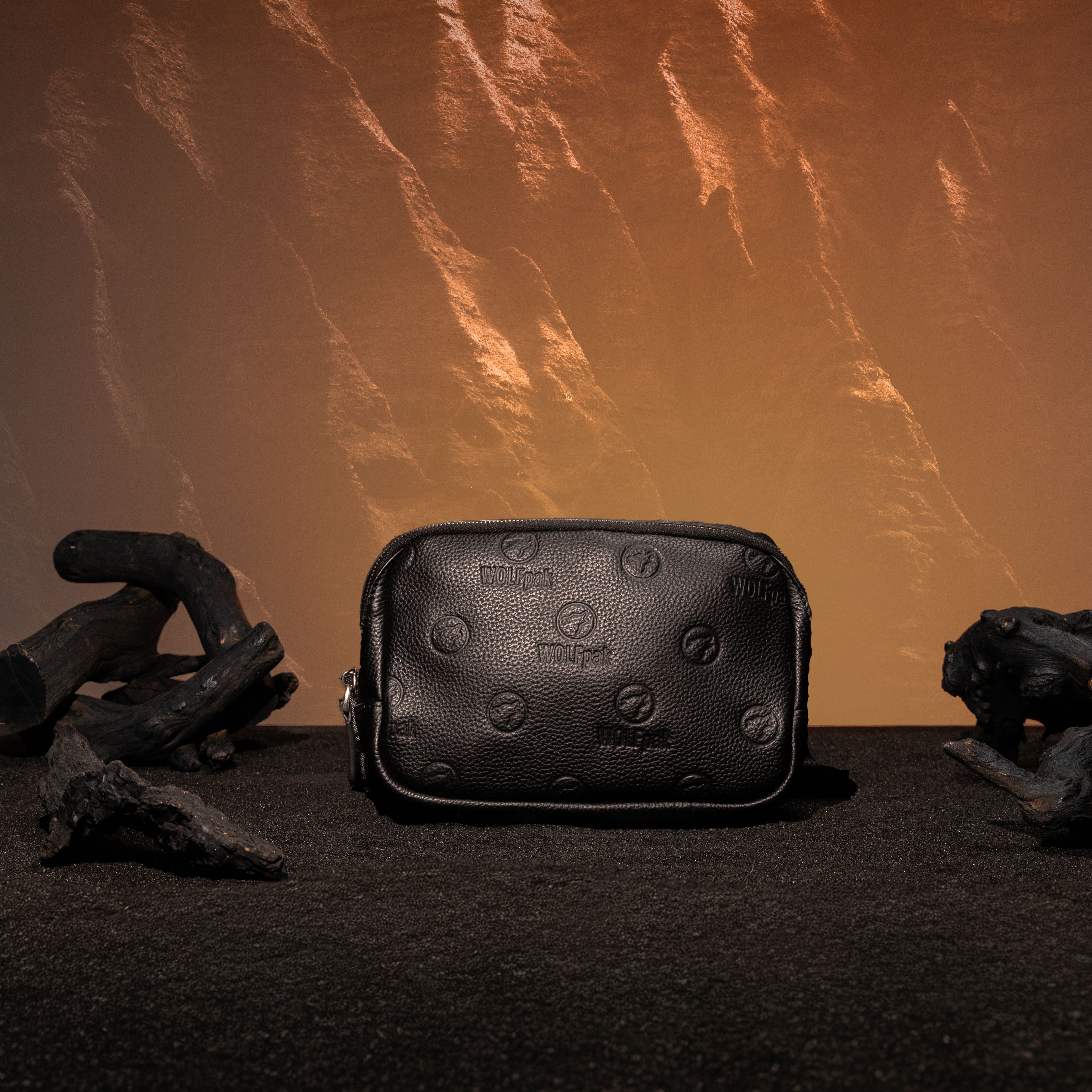 Sac à bandoulière en cuir de luxe noir