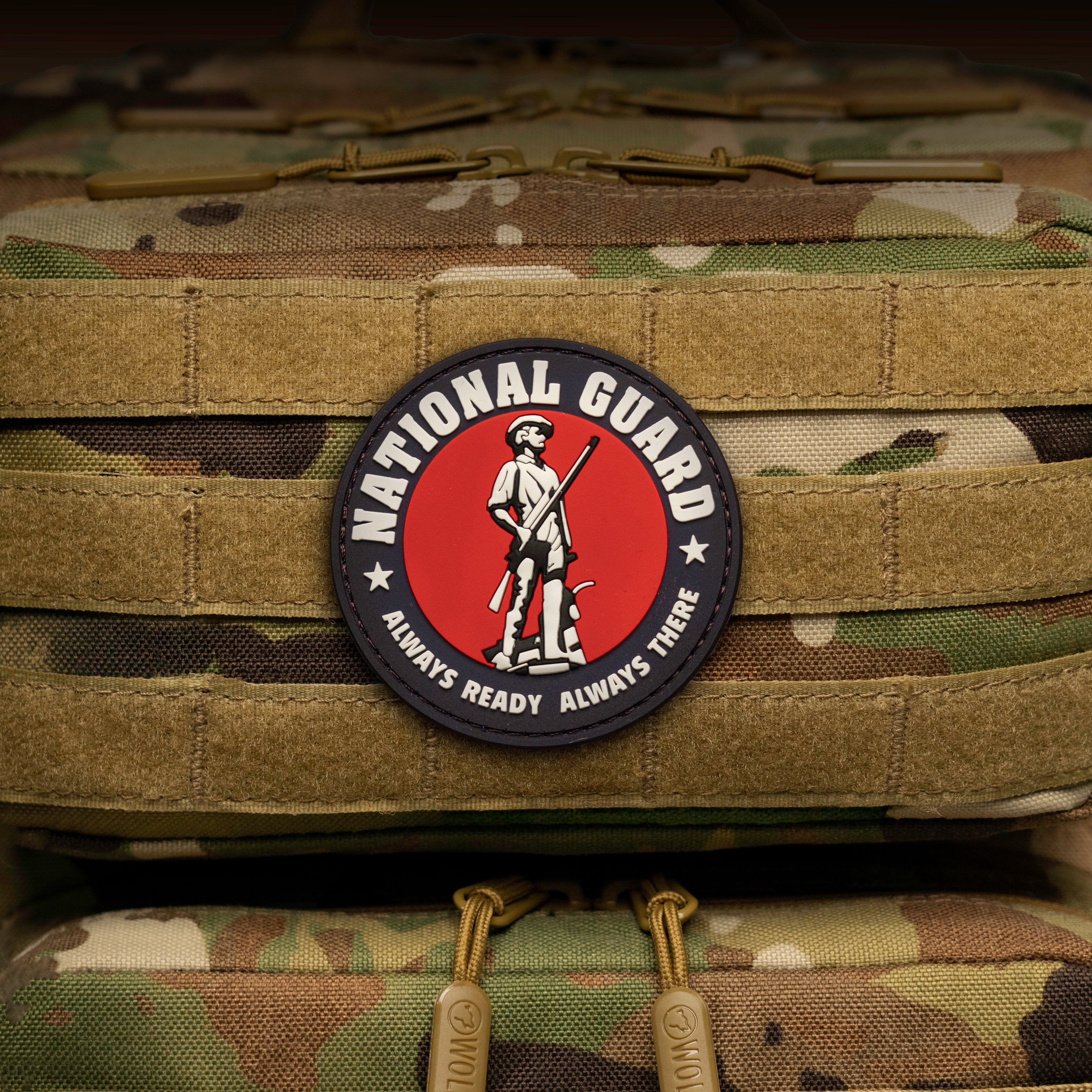 National Guard Patch
