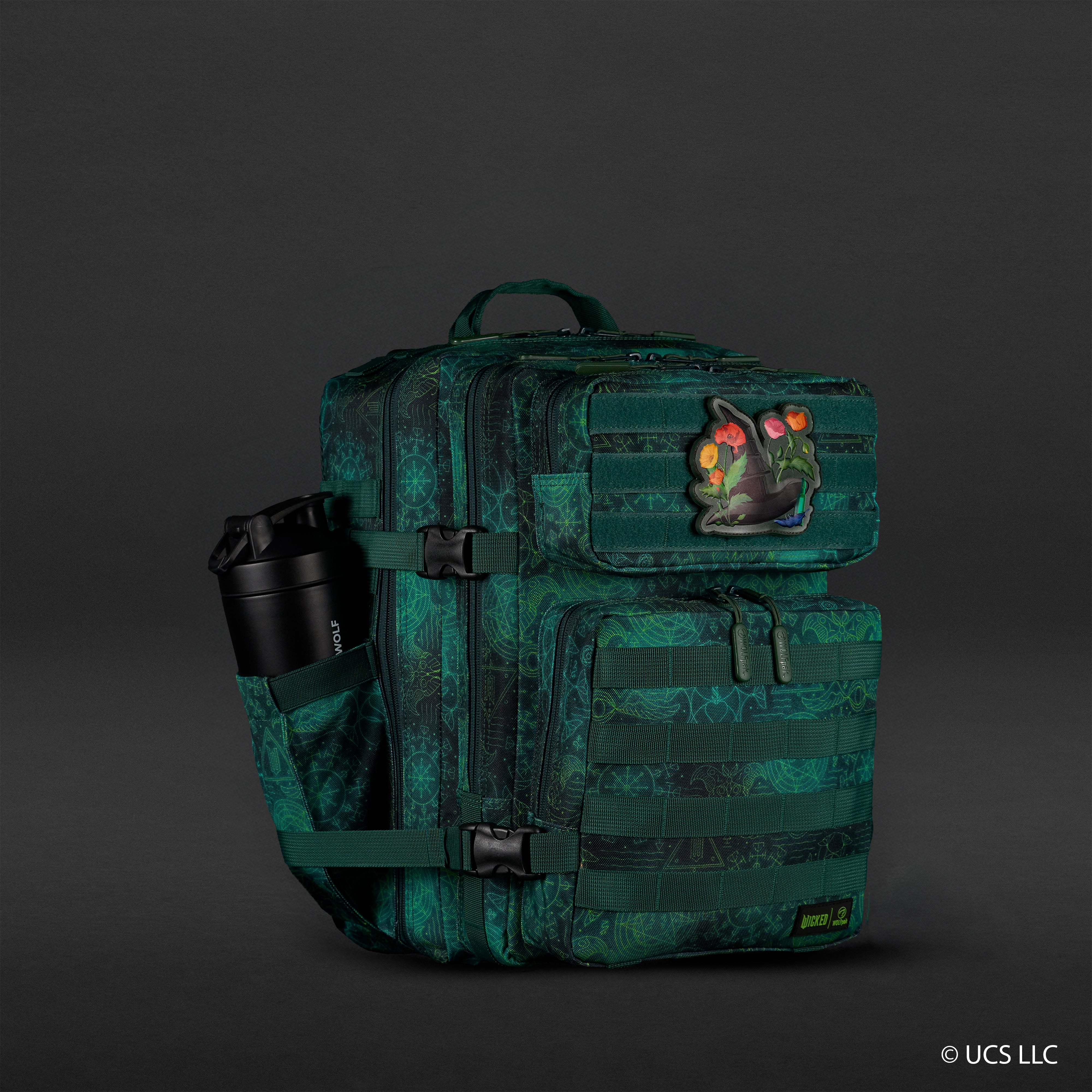 25L Backpack WICKED Elphaba