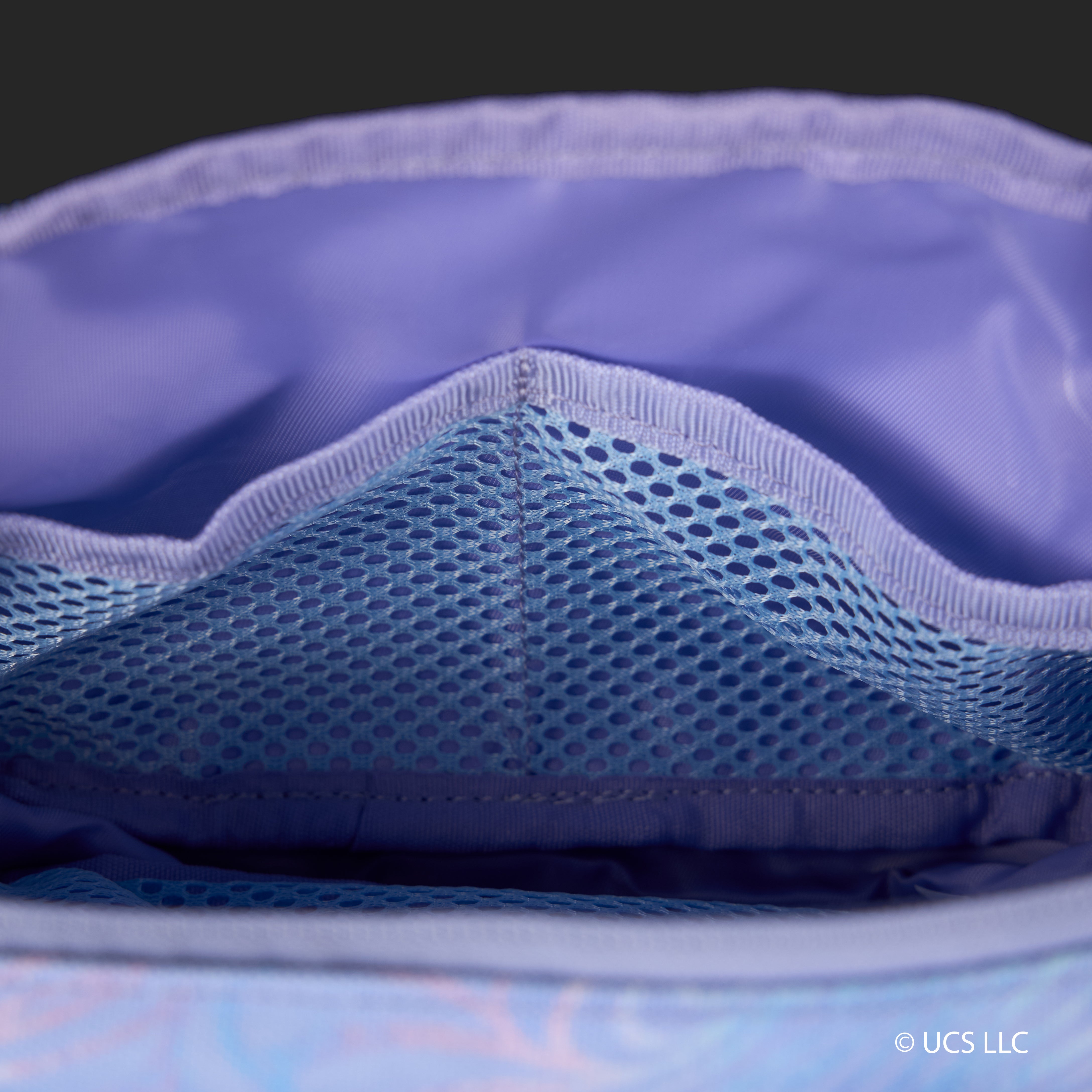 1.5L Crossbody Pack WICKED Glinda