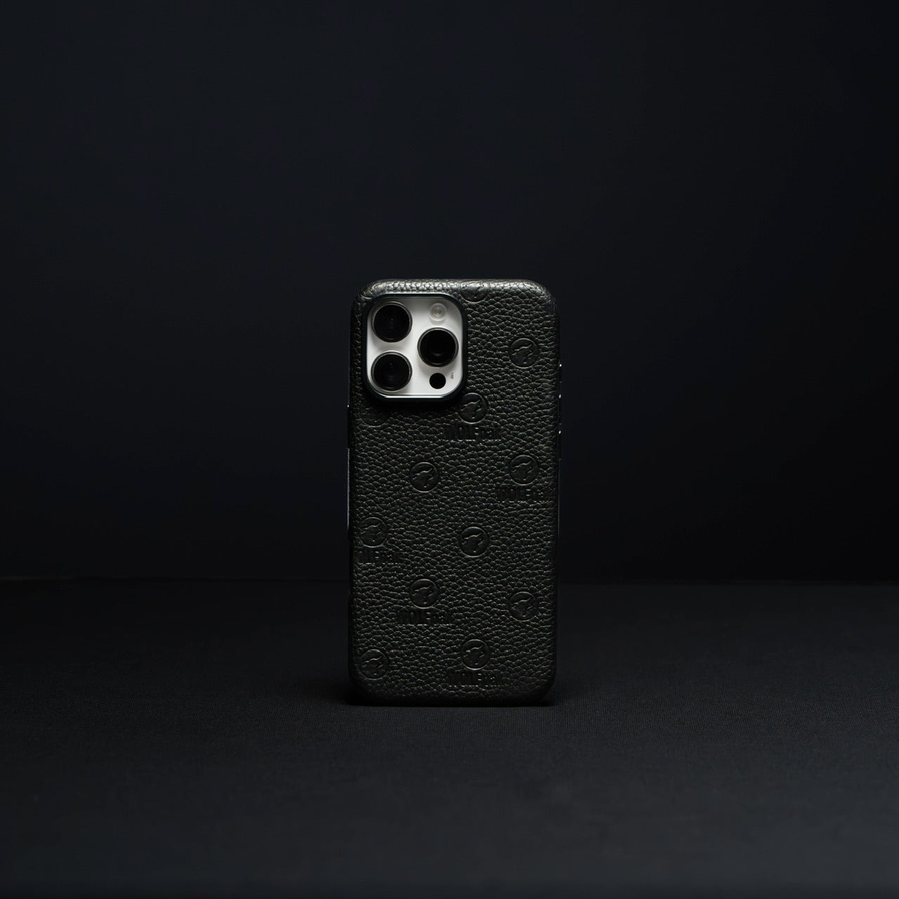 iPhone 16 Collection Phone Case