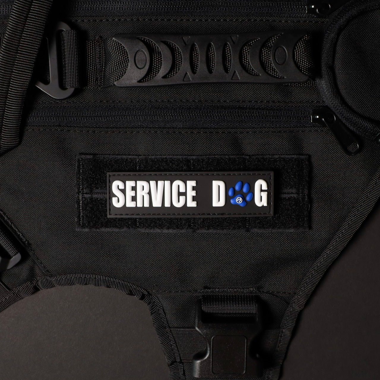 Service Dog w/ Blue Paw