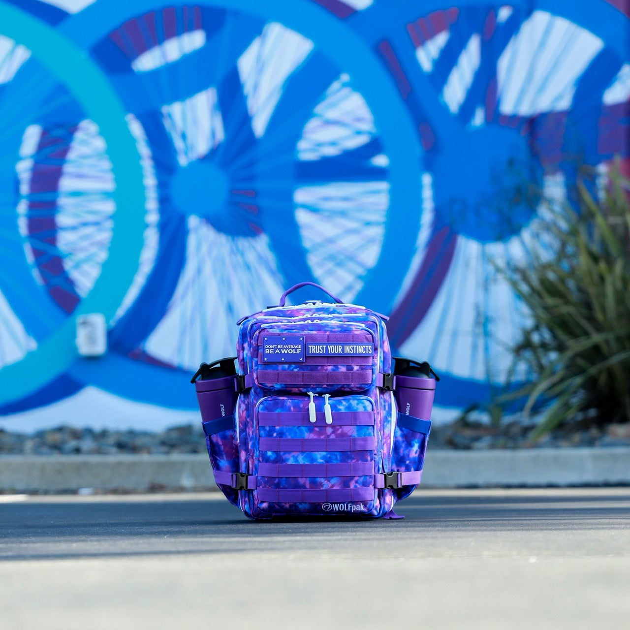 Sac à dos 25L Glace