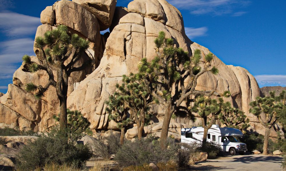 Top 7 Camping Locations To Visit in California