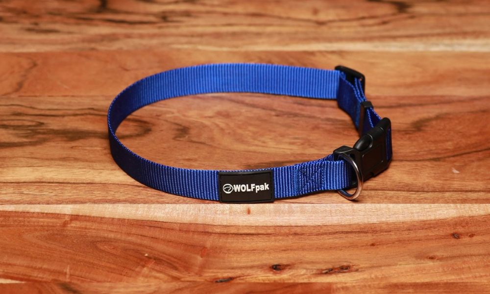What Is the Two-Finger Rule for Dog Collars?