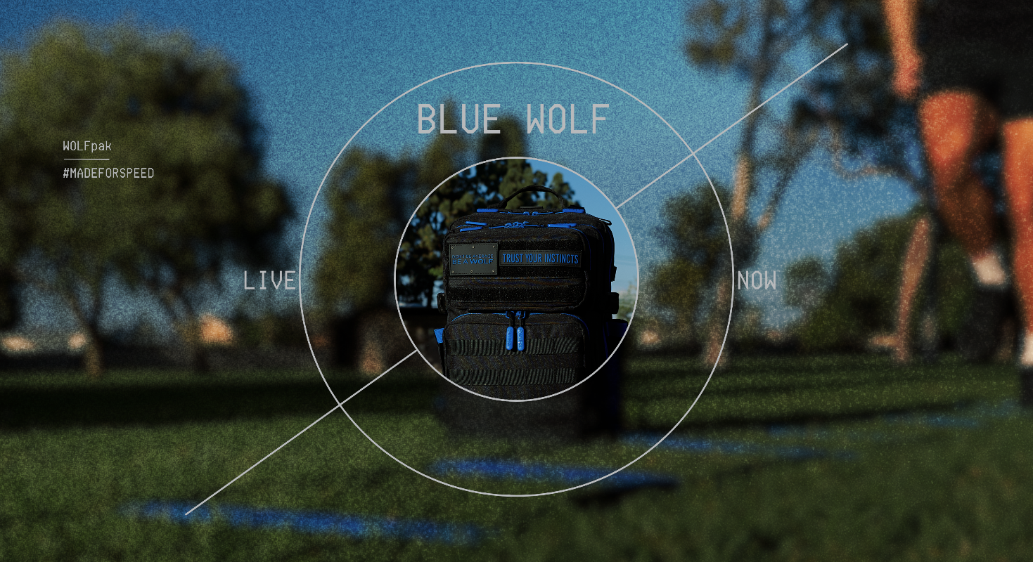 Blue Wolf
