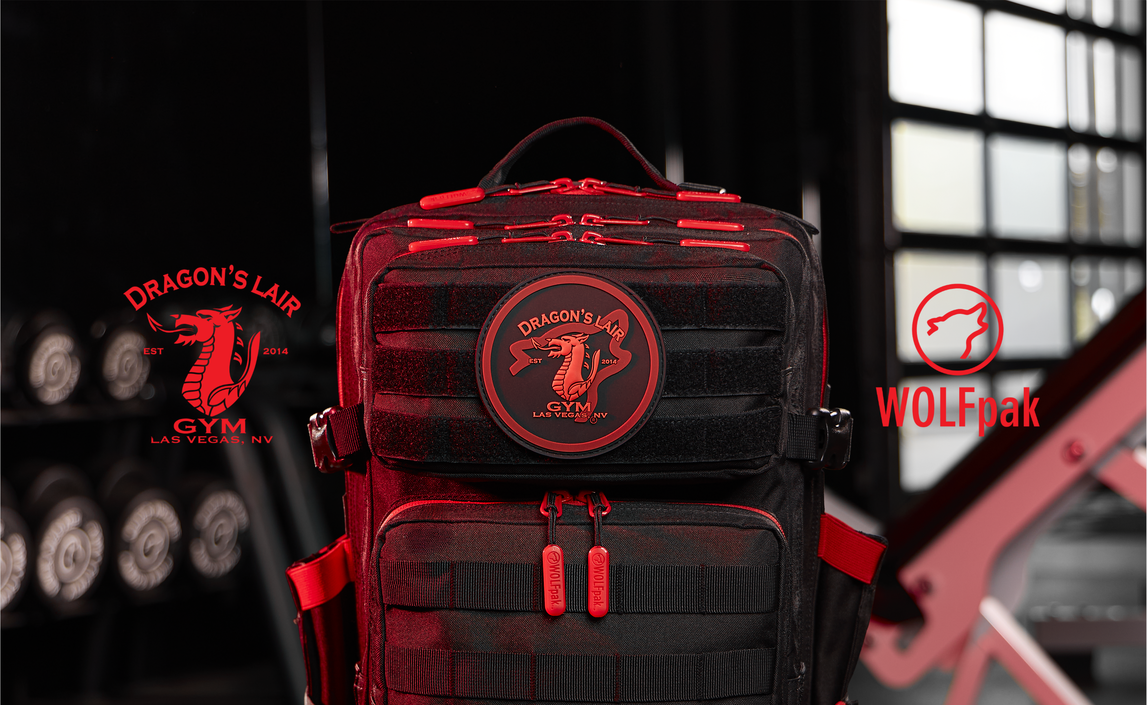 Dragon's Lair Gym x WOLFpak