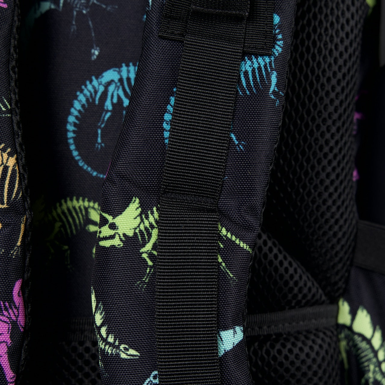 15L Backpack Dino Bag