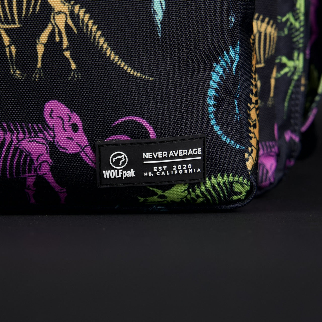 15L Backpack Dino Bag