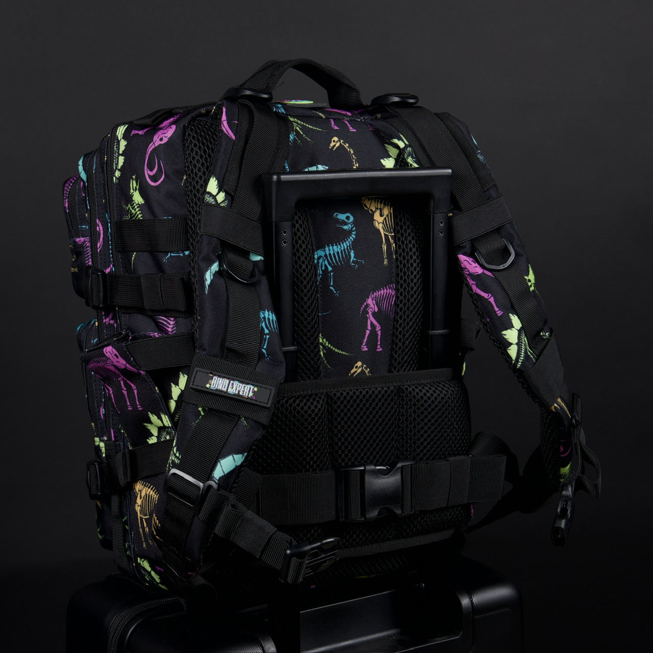 25L Backpack Dino Bag