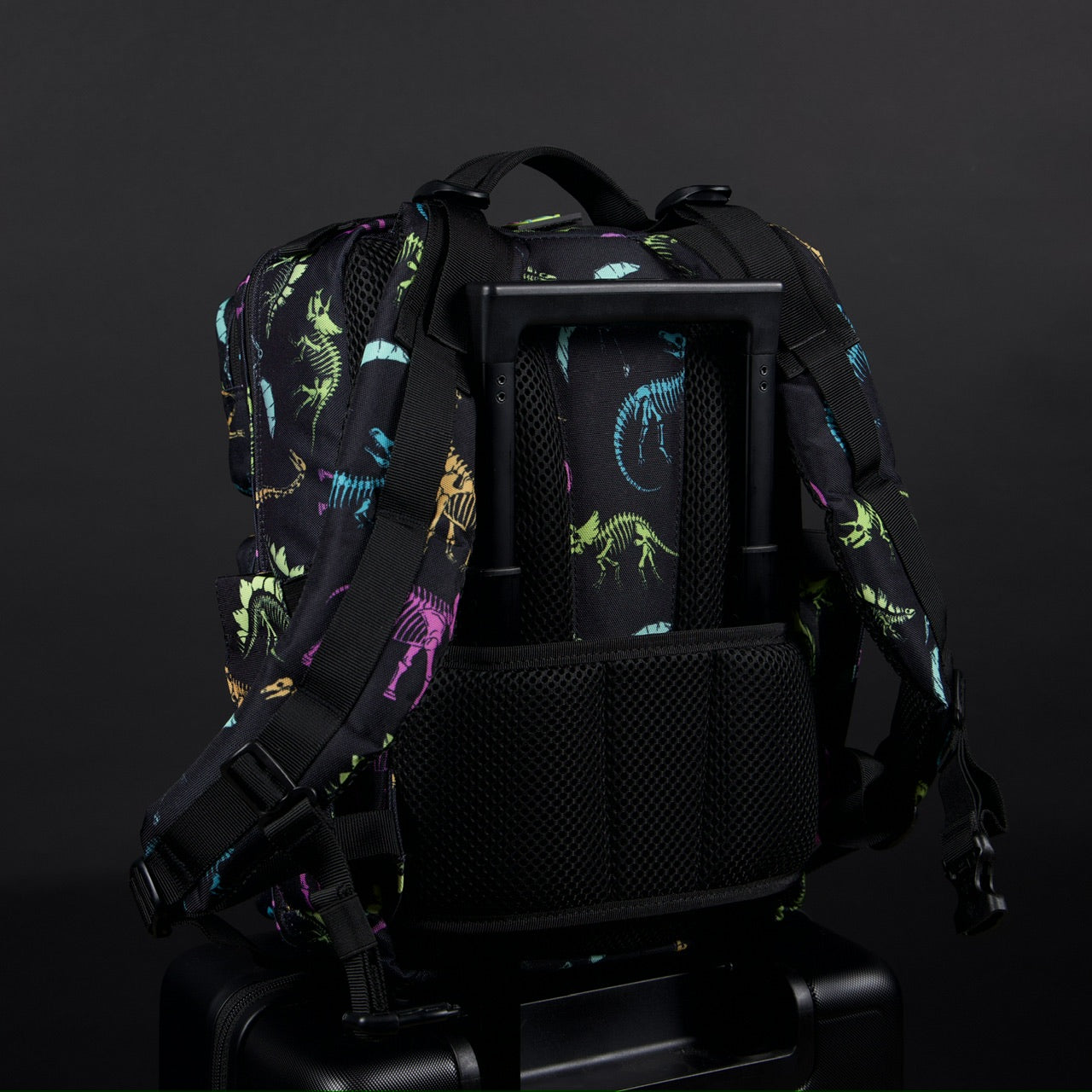 15L Backpack Dino Bag