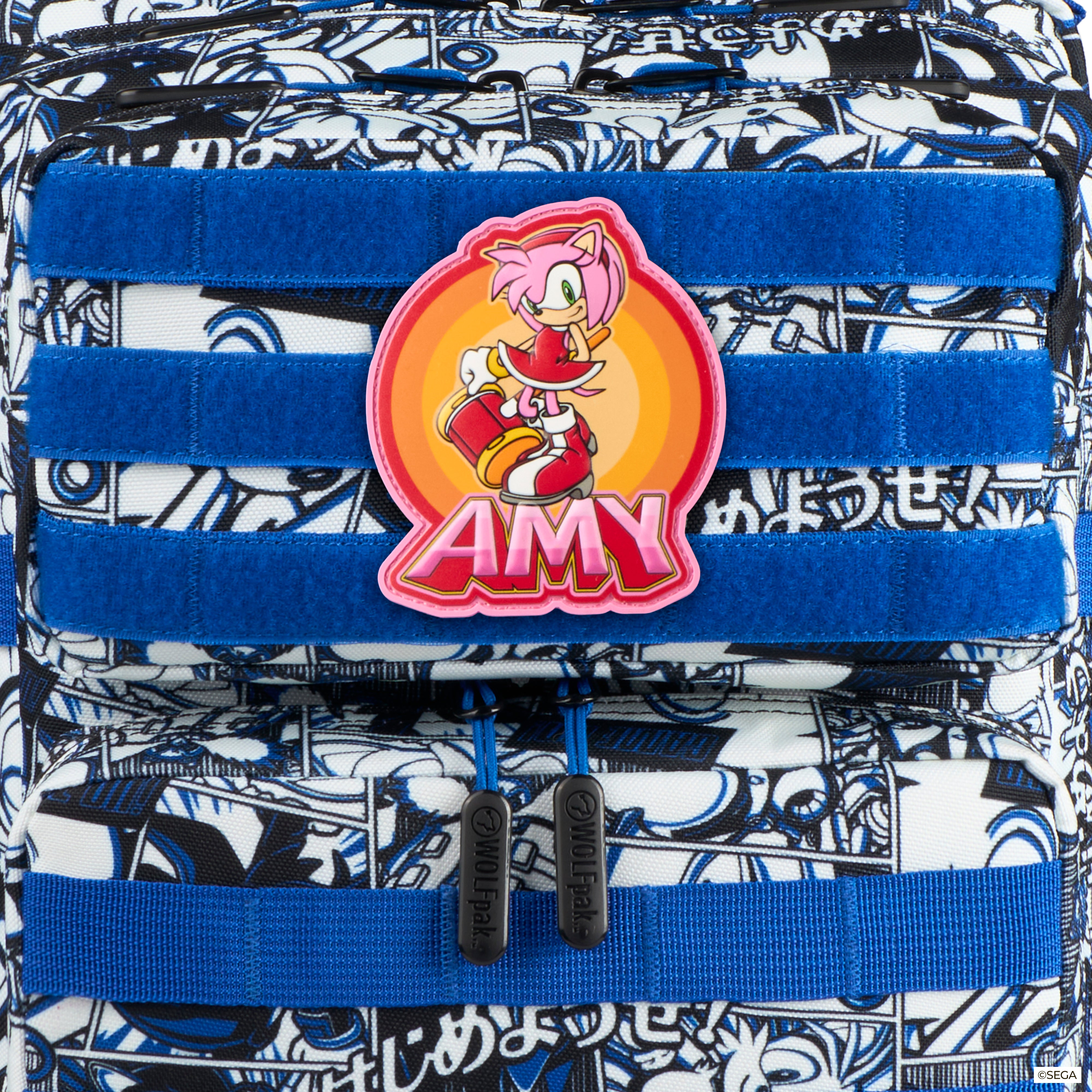 Sonic The Hedgehog Amy Patch