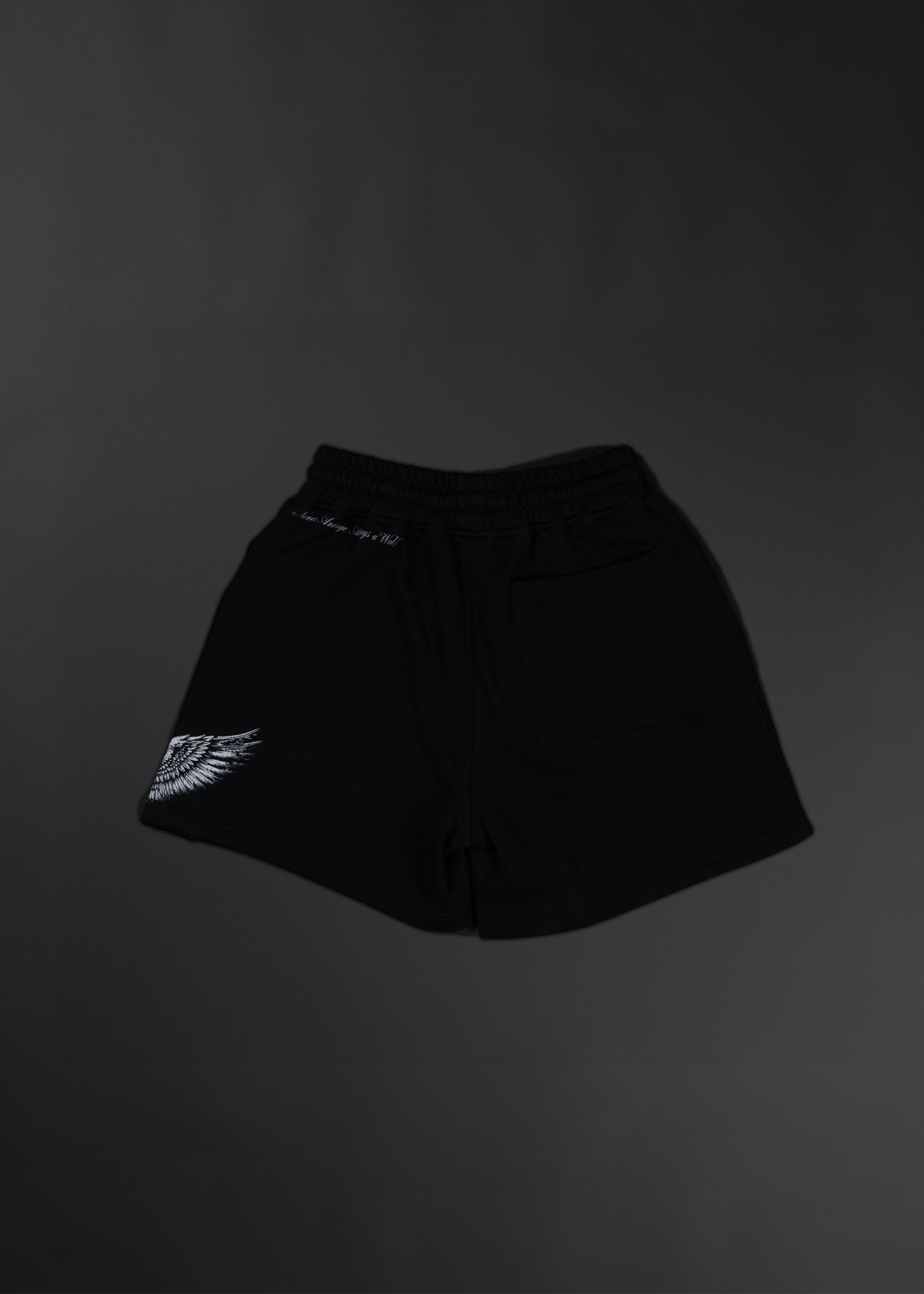 Deathwing Sweat Shorts
