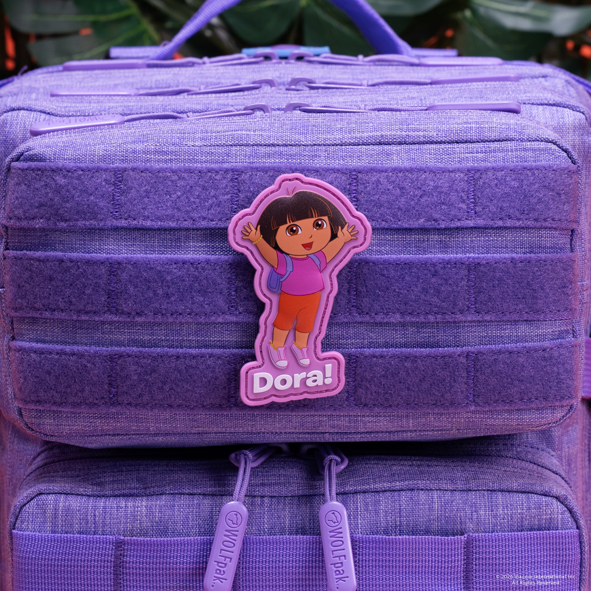 Dora Patch PREVIEW
