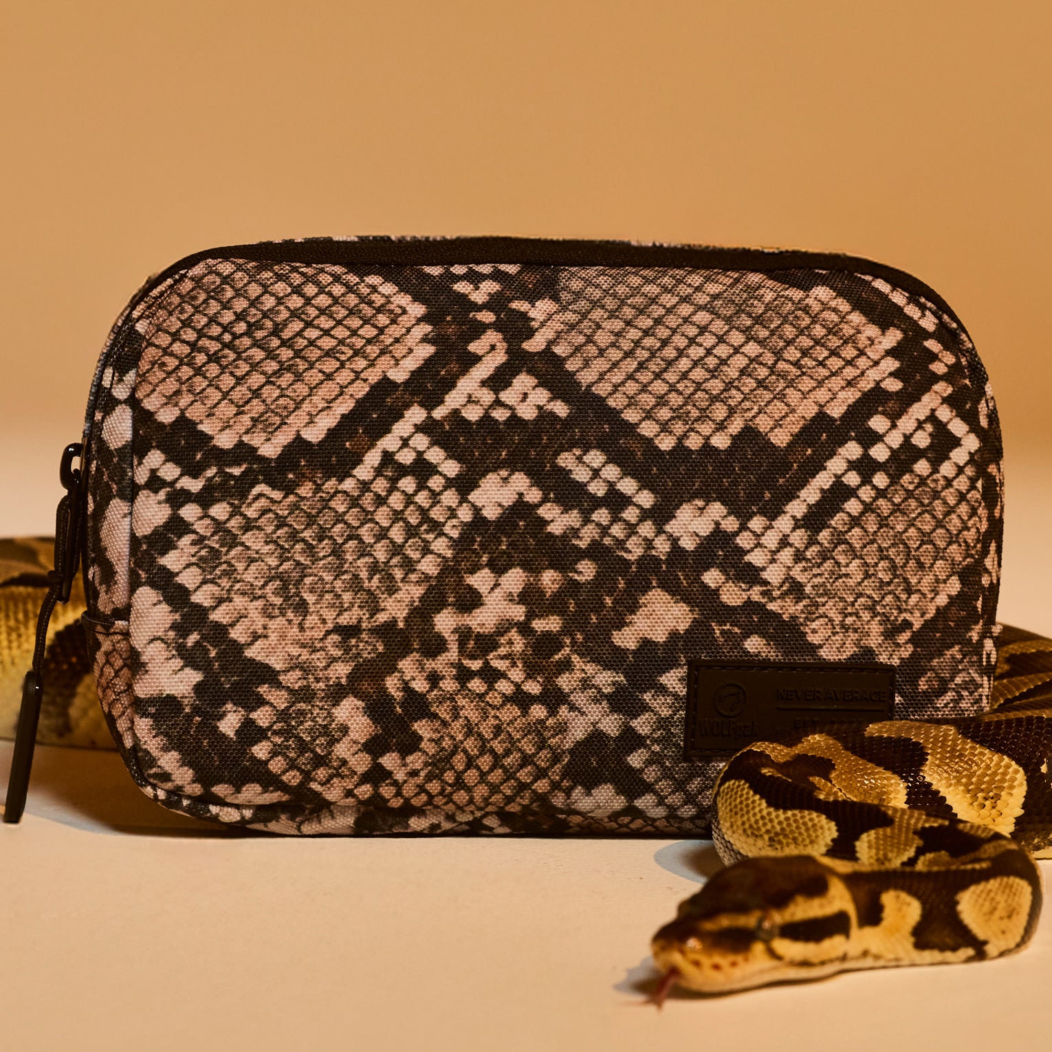 Crossbody Pack Python PREVIEW