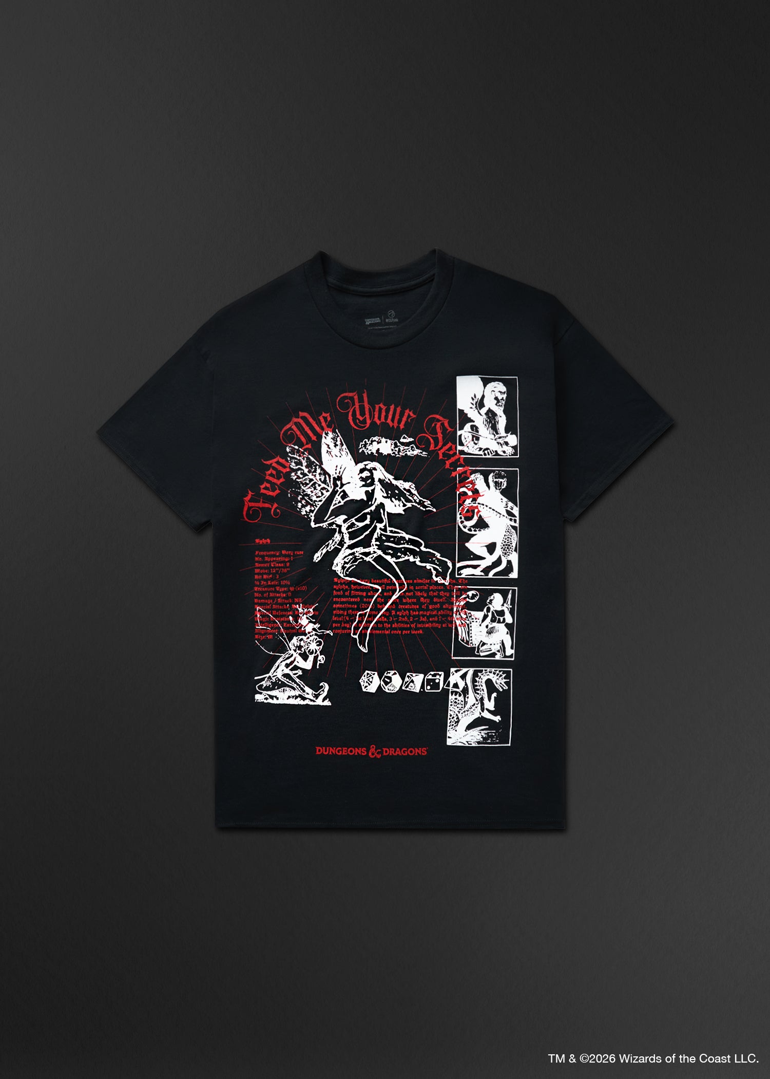 Dungeons and Dragons Secrets Graphic T-Shirt PREVIEW