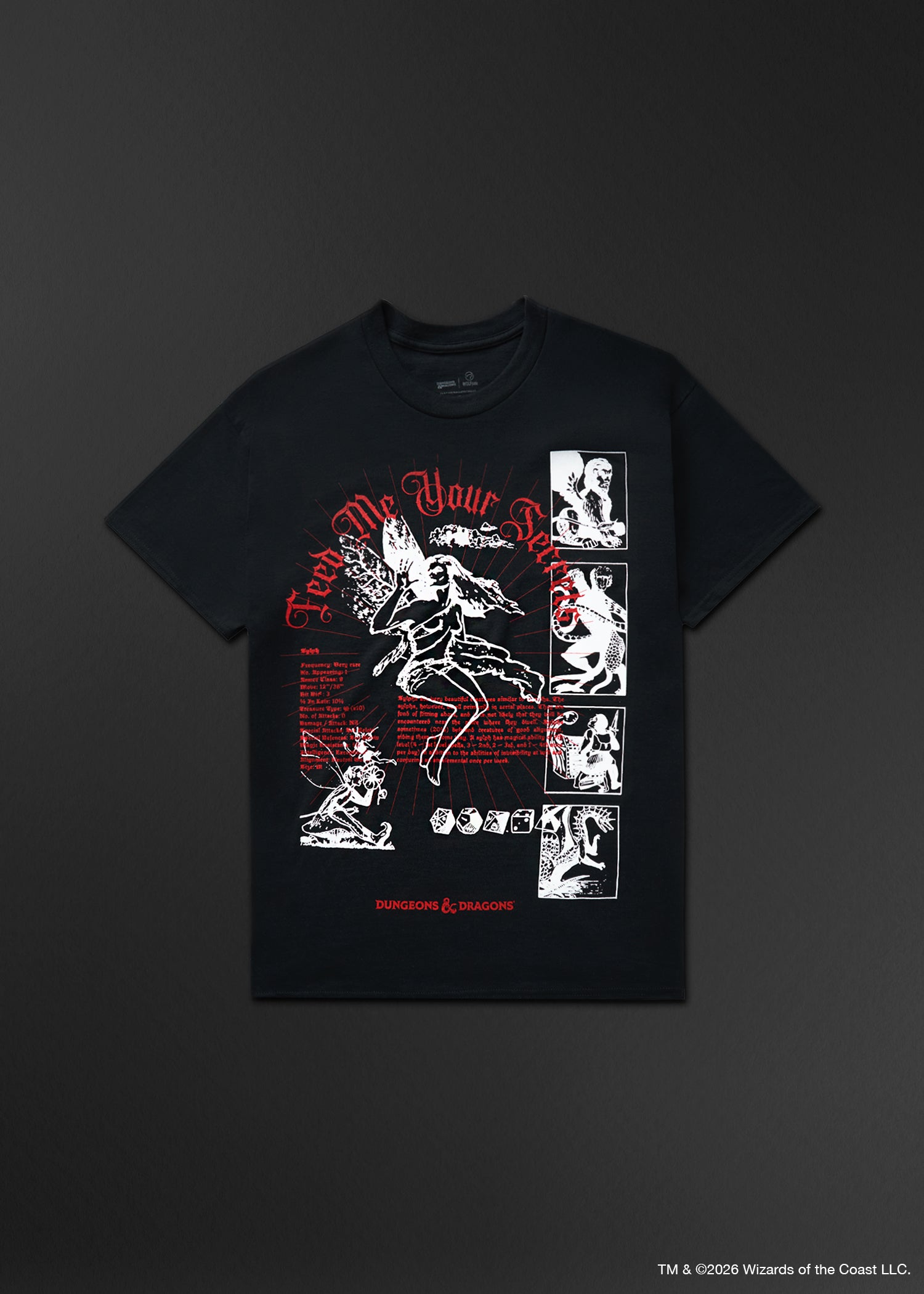 Dungeons and Dragons Secrets Graphic T-Shirt